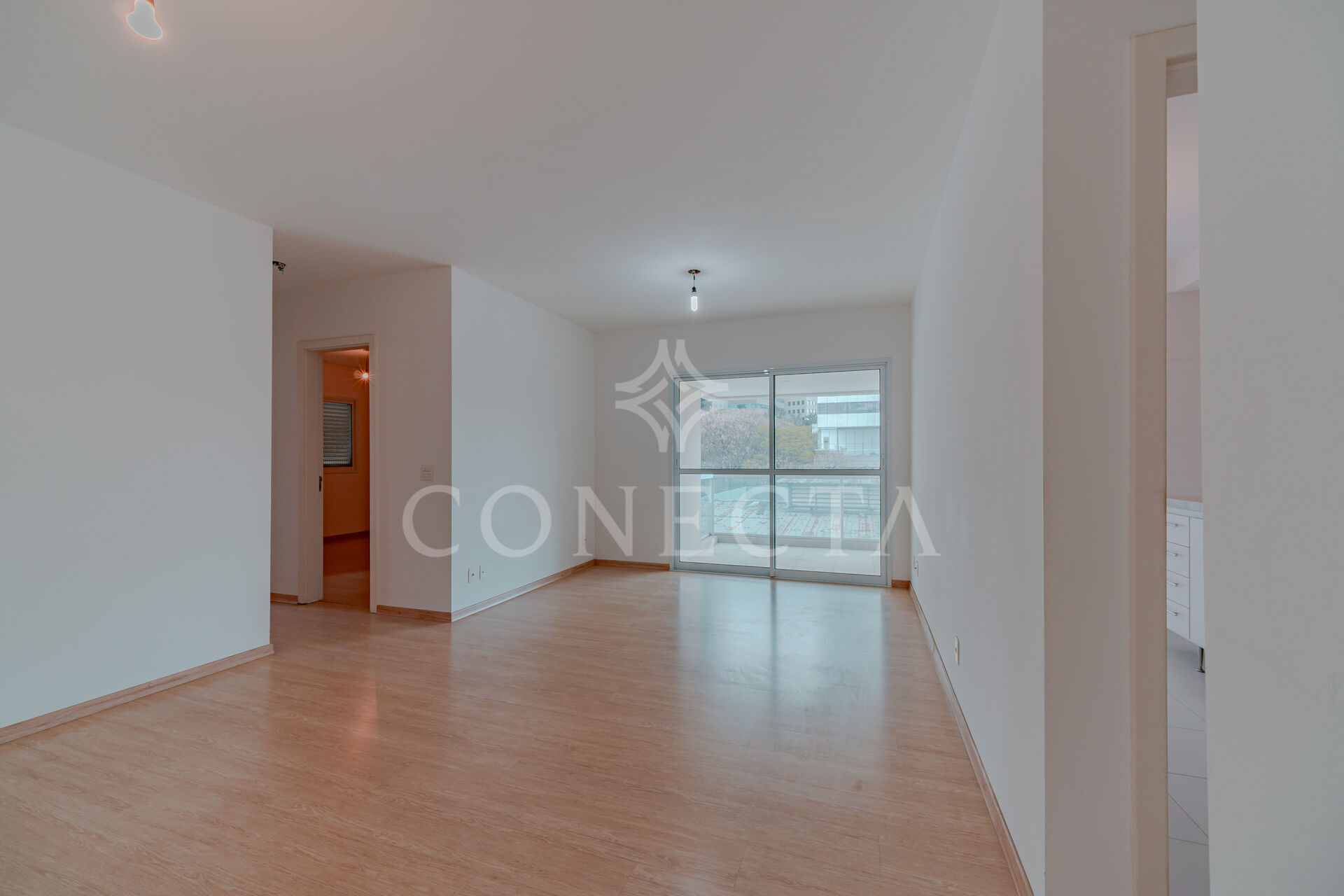 Apartamento à venda com 2 quartos, 76m² - Foto 2