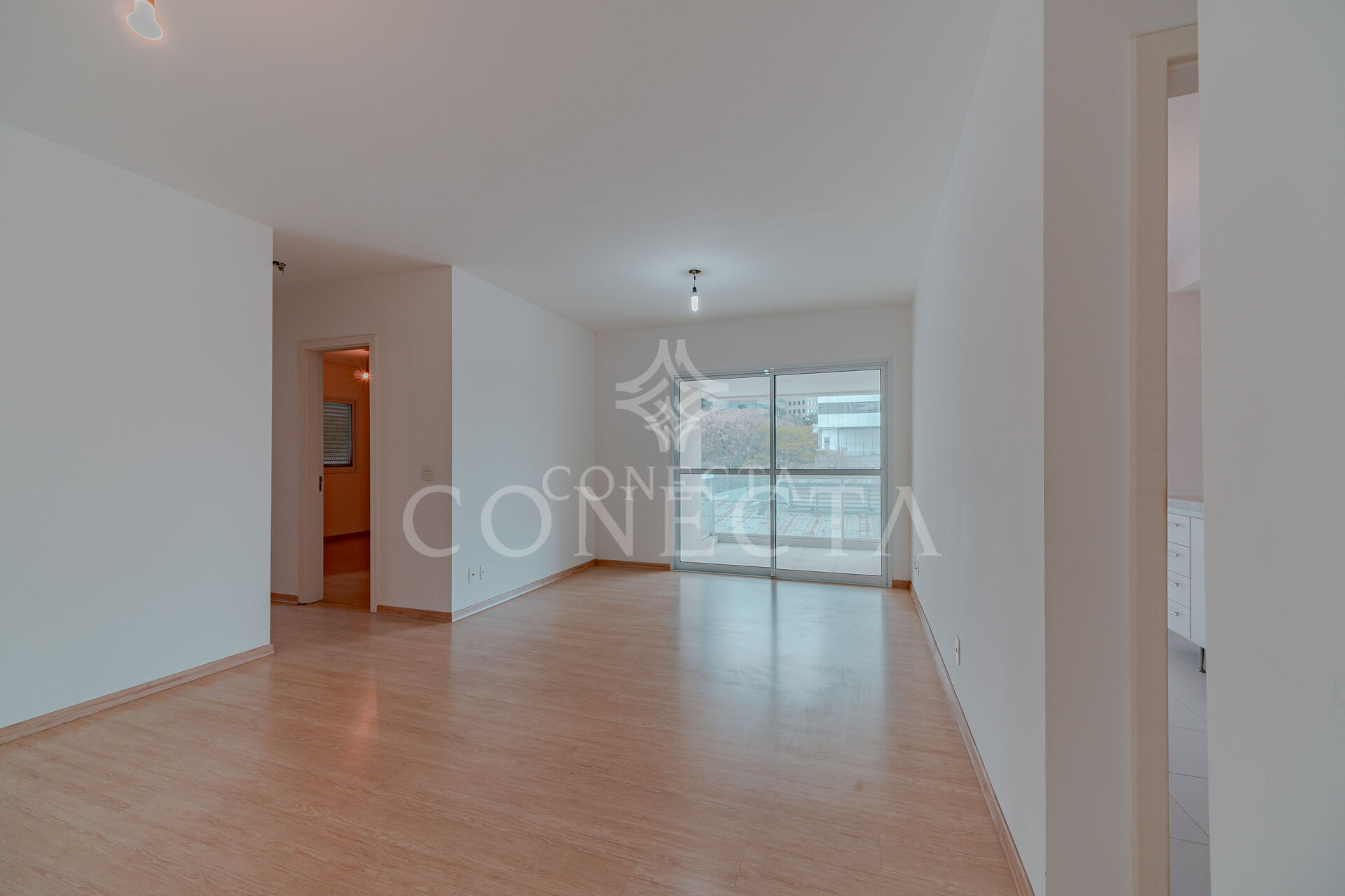 Apartamento à venda com 2 quartos, 76m² - Foto 2