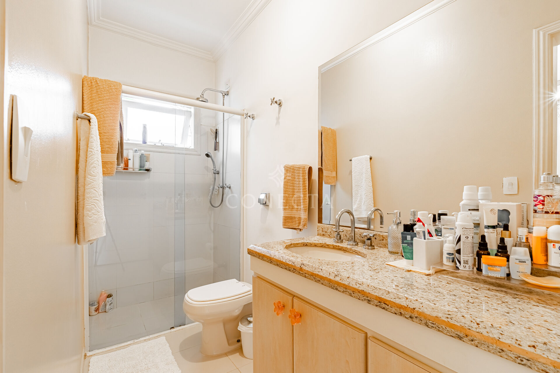 Casa, 4 quartos, 445 m² - Foto 32