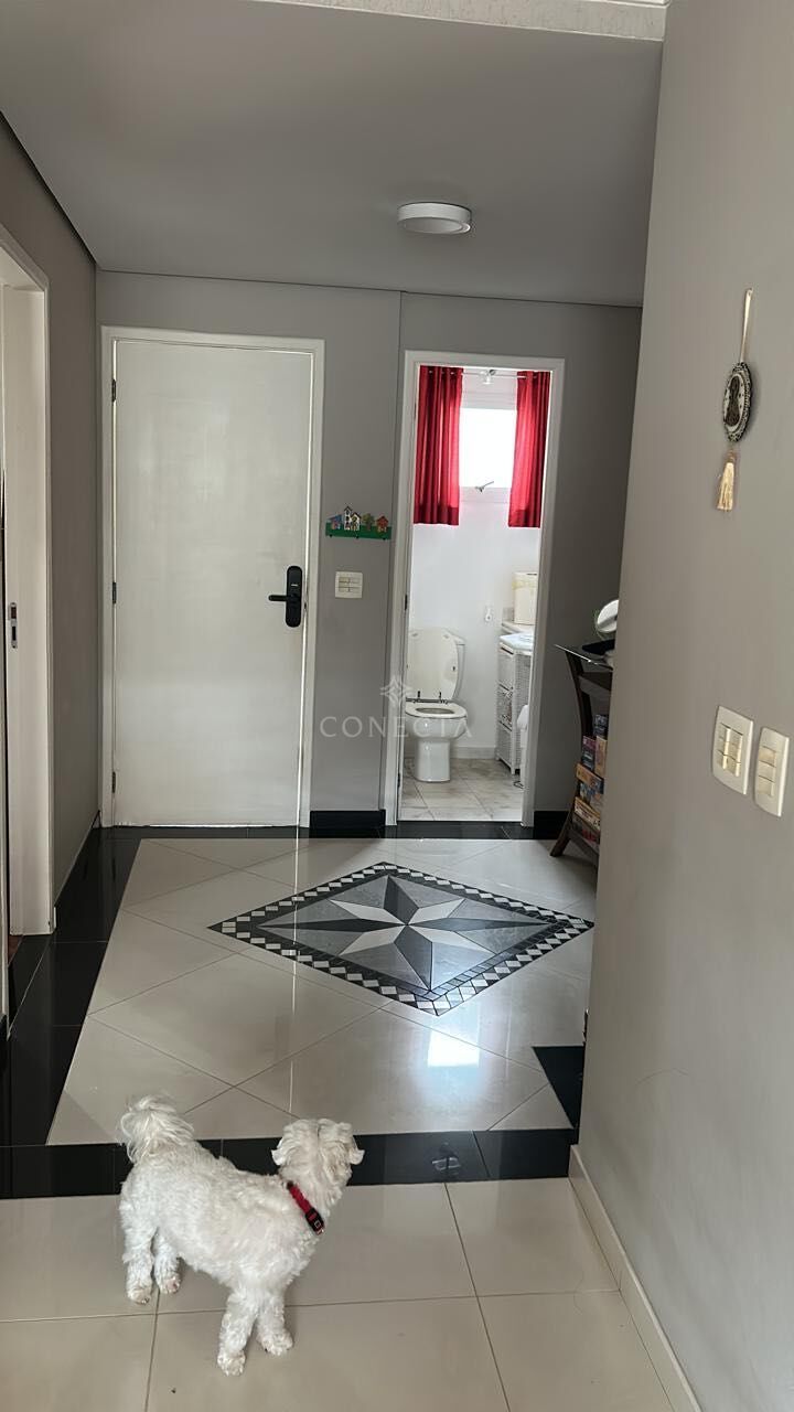 Casa, 4 quartos, 360 m² - Foto 5