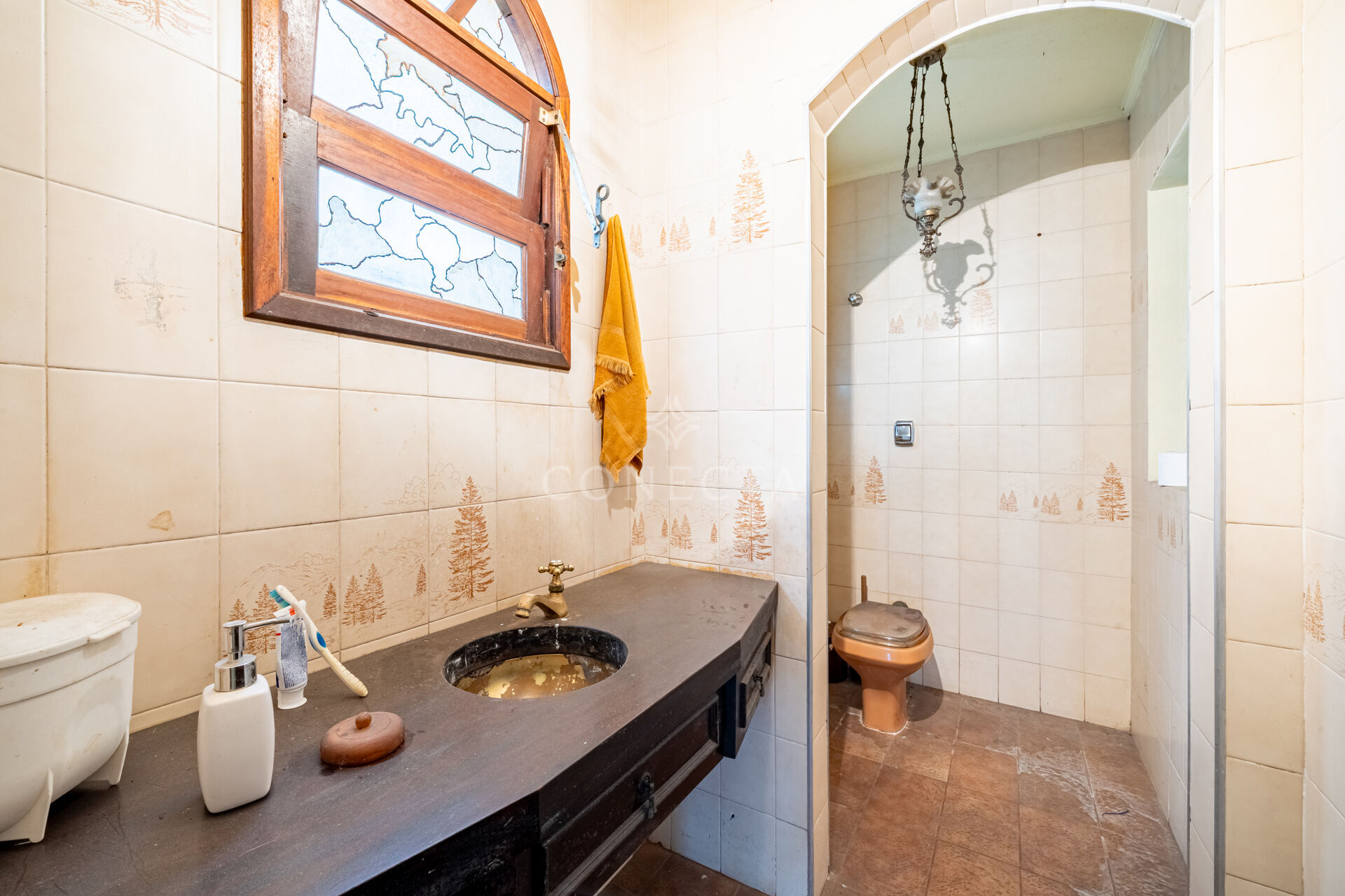 Casa, 4 quartos, 385 m² - Foto 21