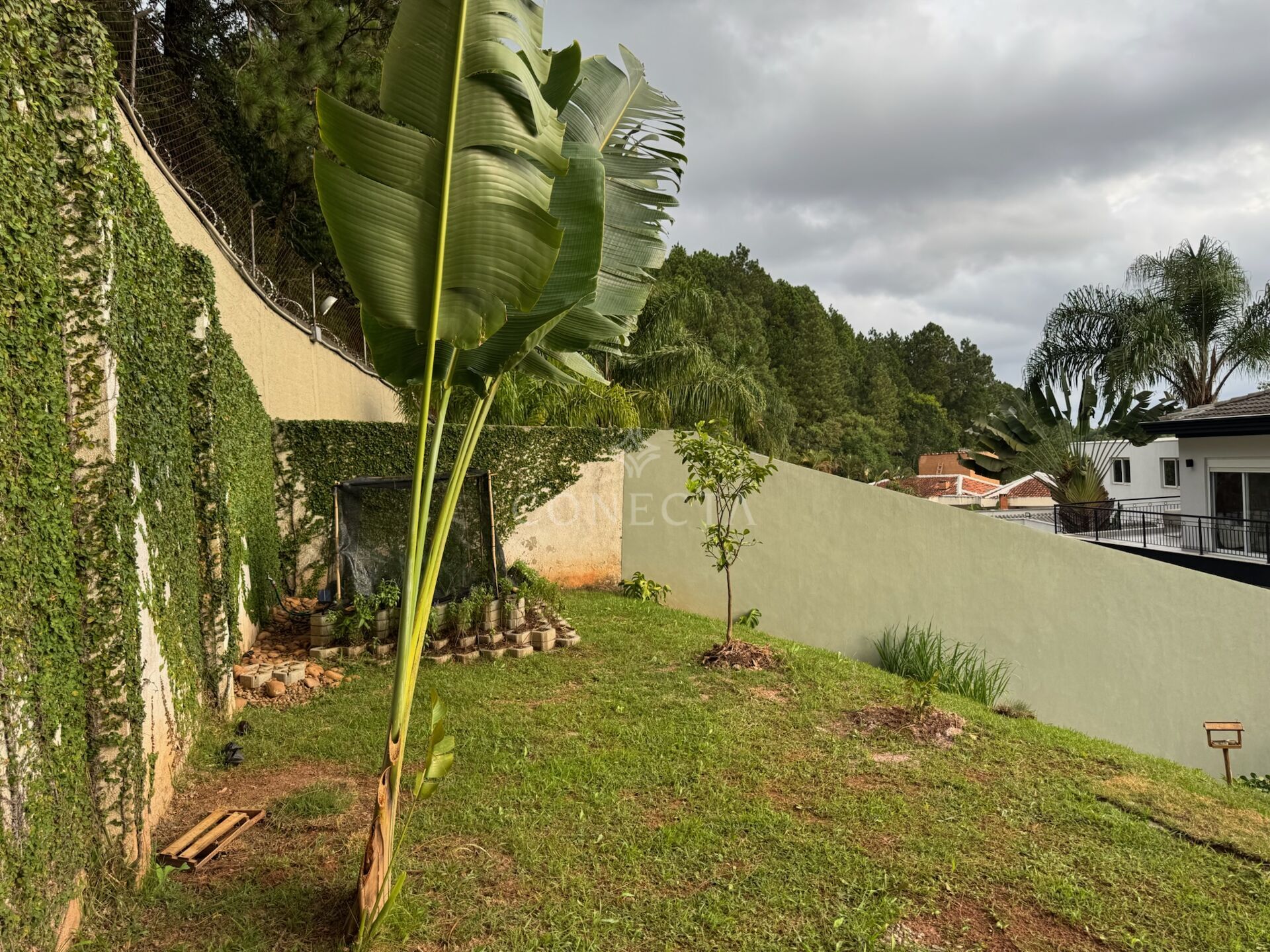 Casa, 3 quartos, 457 m² - Foto 49