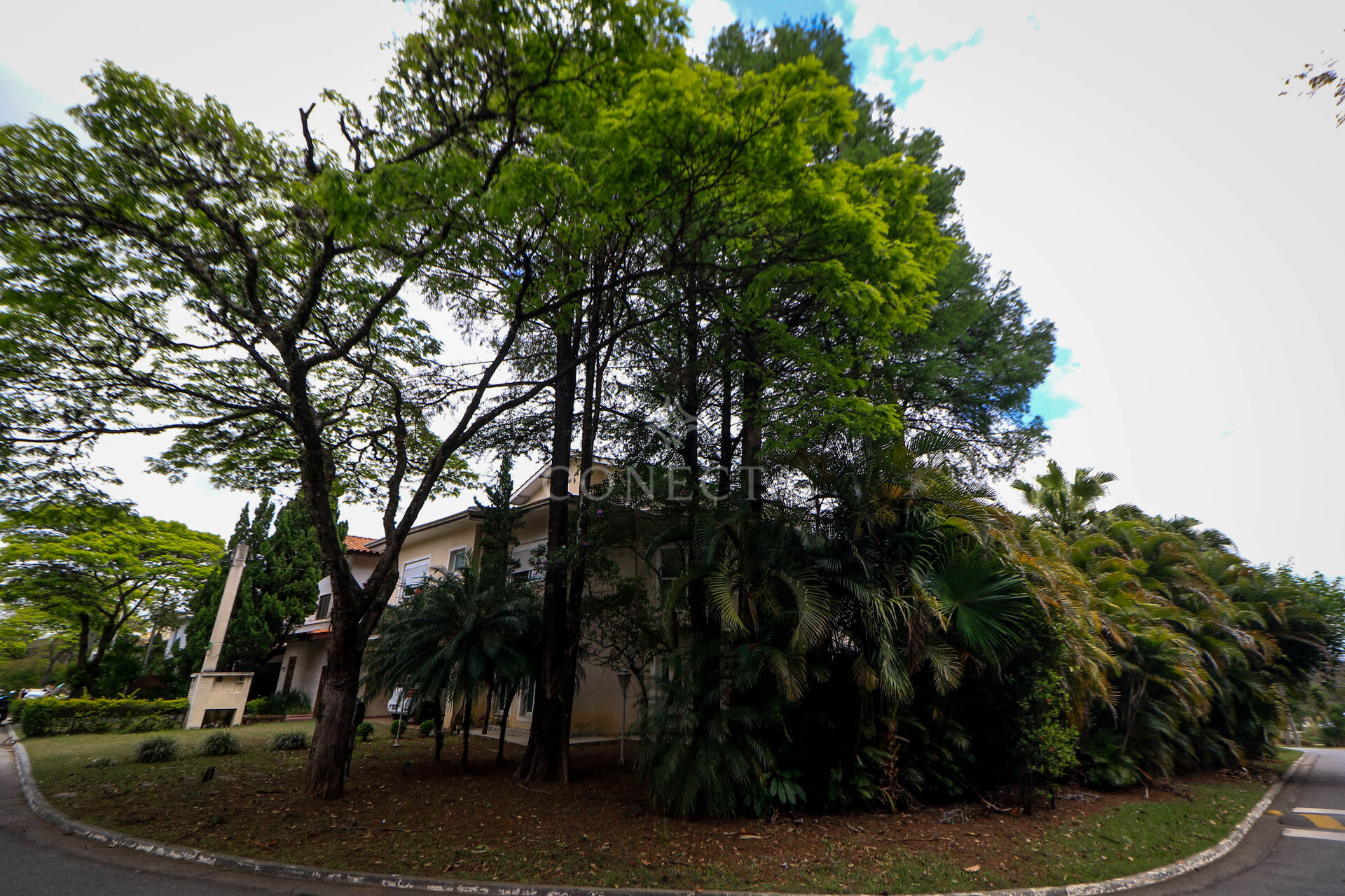 Casa, 4 quartos, 470 m² - Foto 2