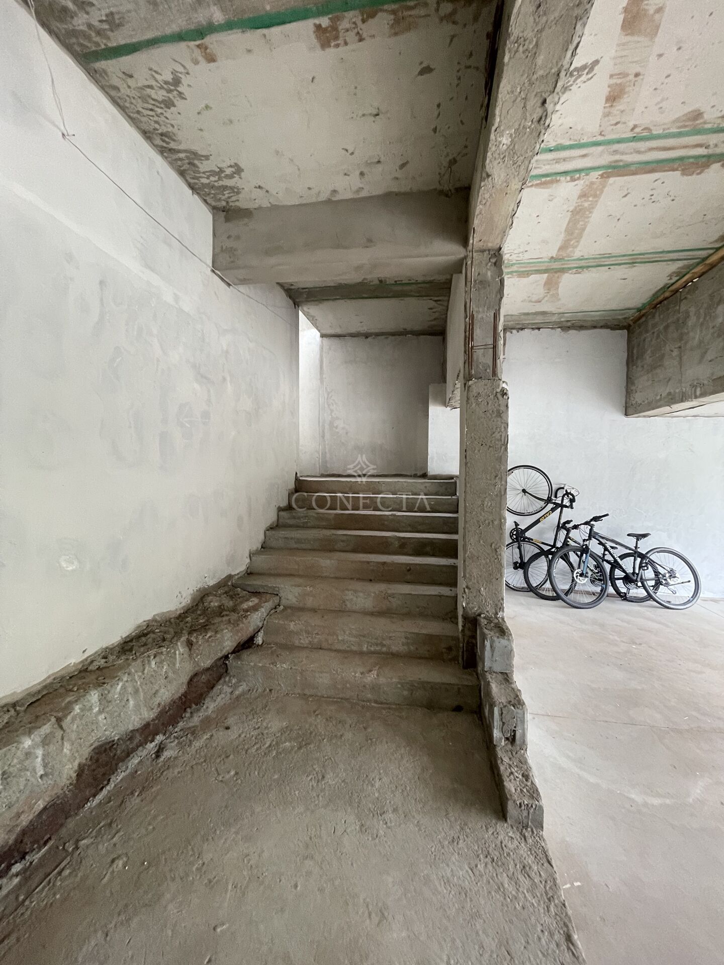 Casa, 3 quartos, 335 m² - Foto 26