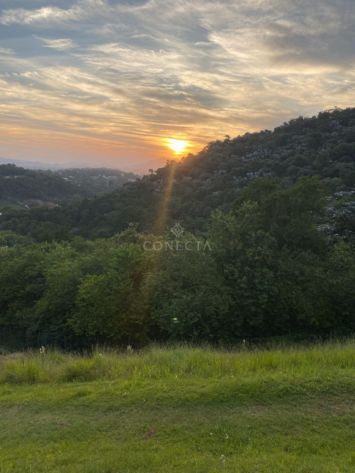 Terreno, 569 m² - Foto 1