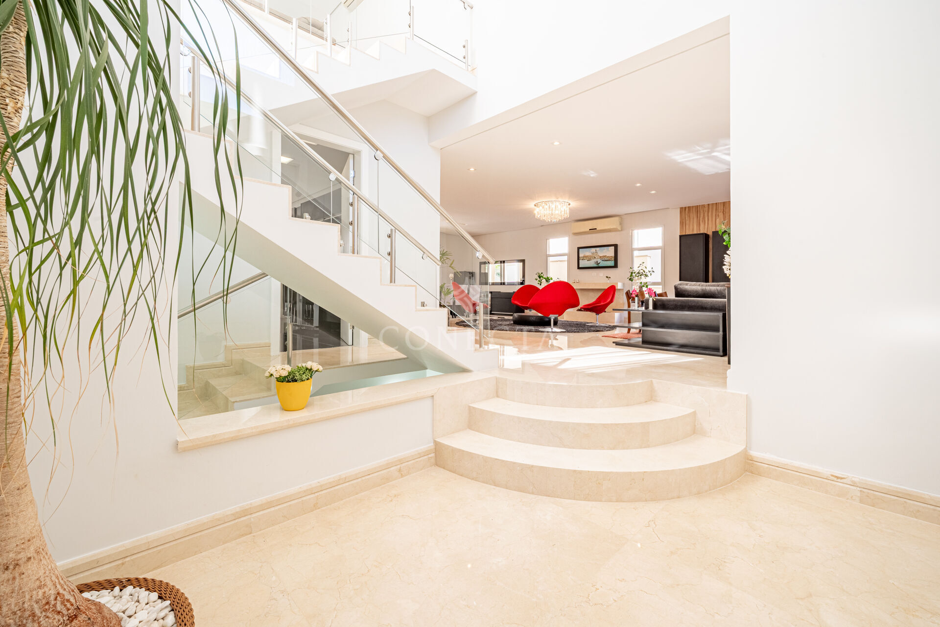 Casa, 4 quartos, 505 m² - Foto 4