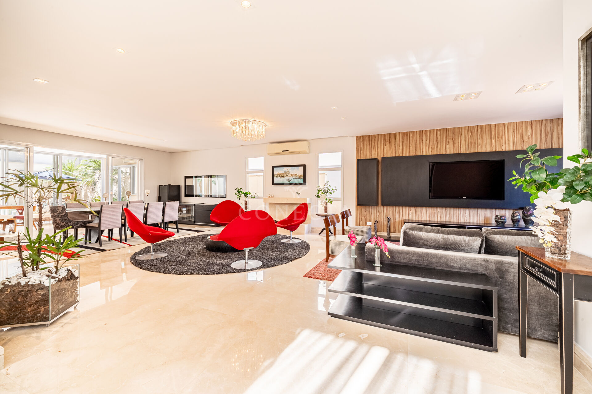 Casa, 4 quartos, 505 m² - Foto 3
