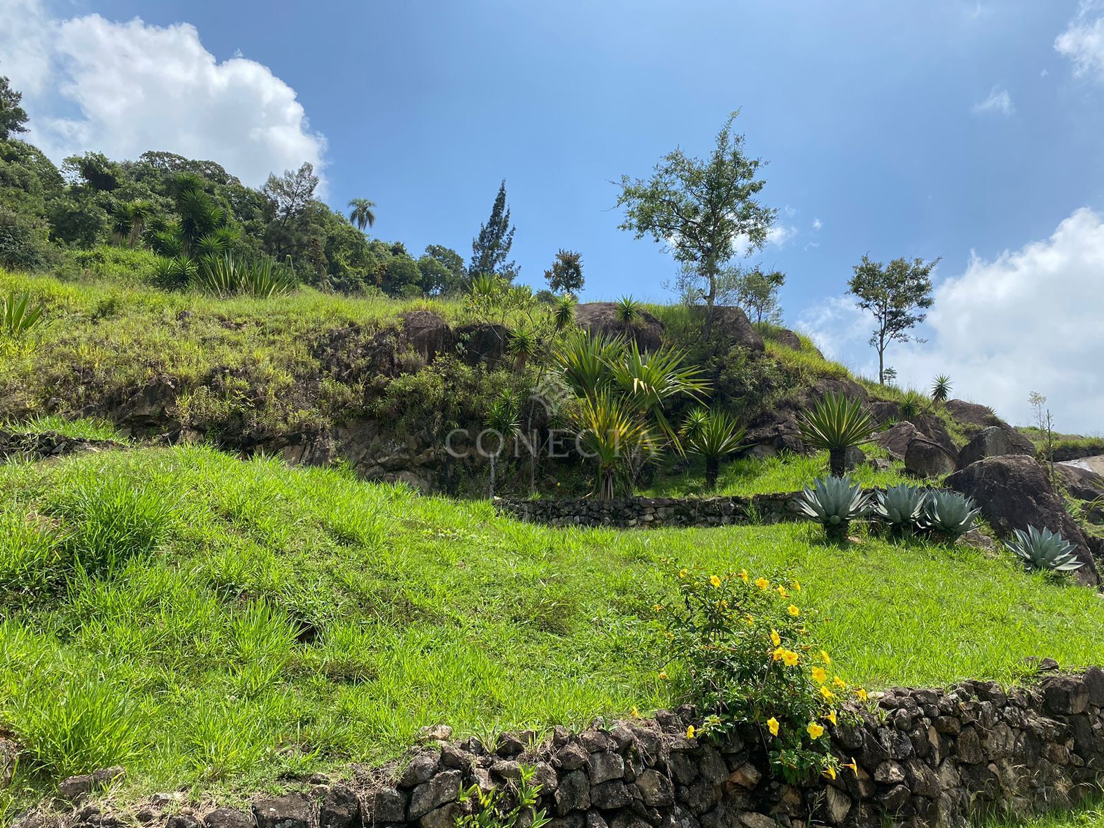 Terreno à venda, 762m² - Foto 11