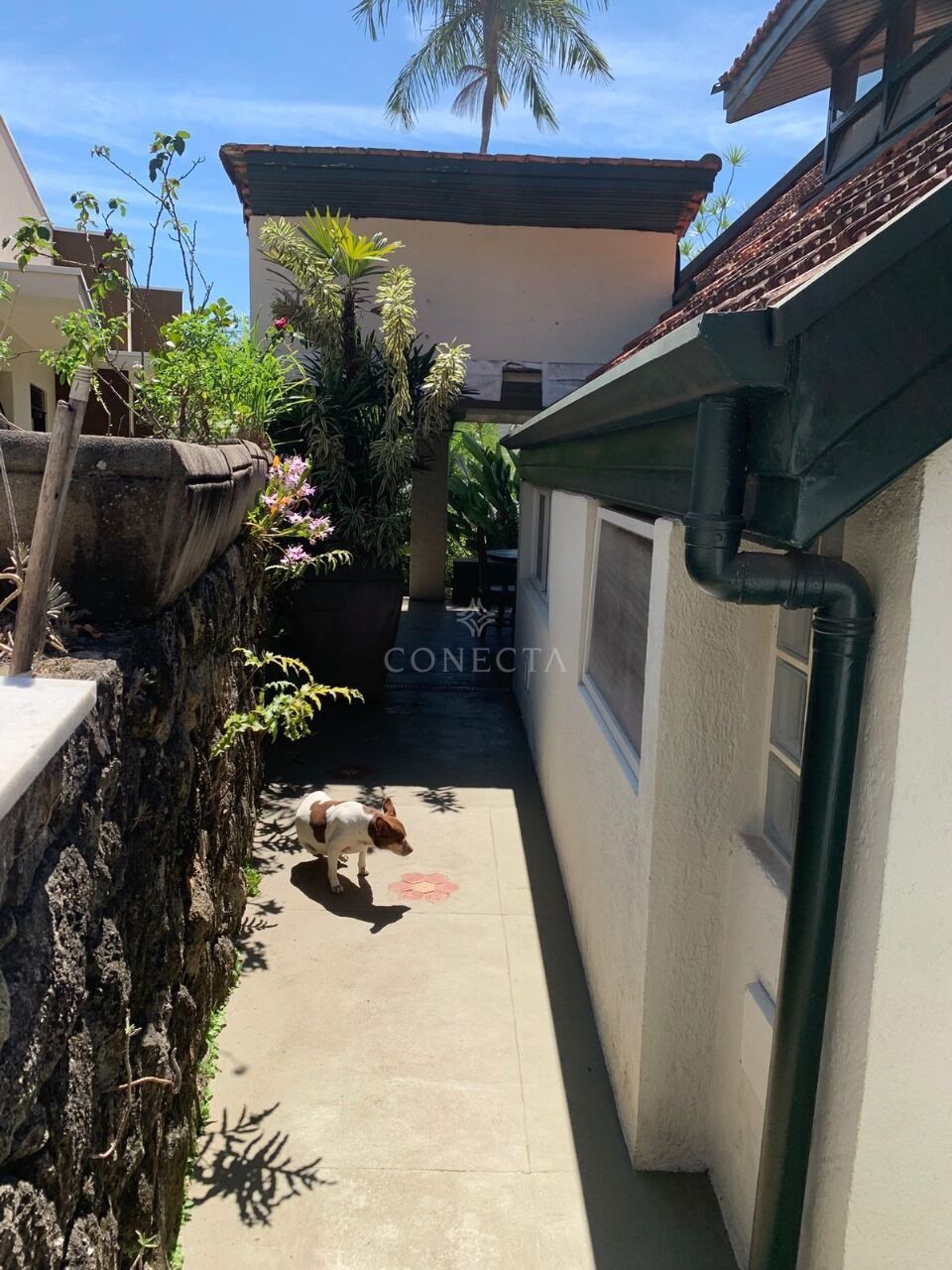 Casa, 3 quartos, 292 m² - Foto 24