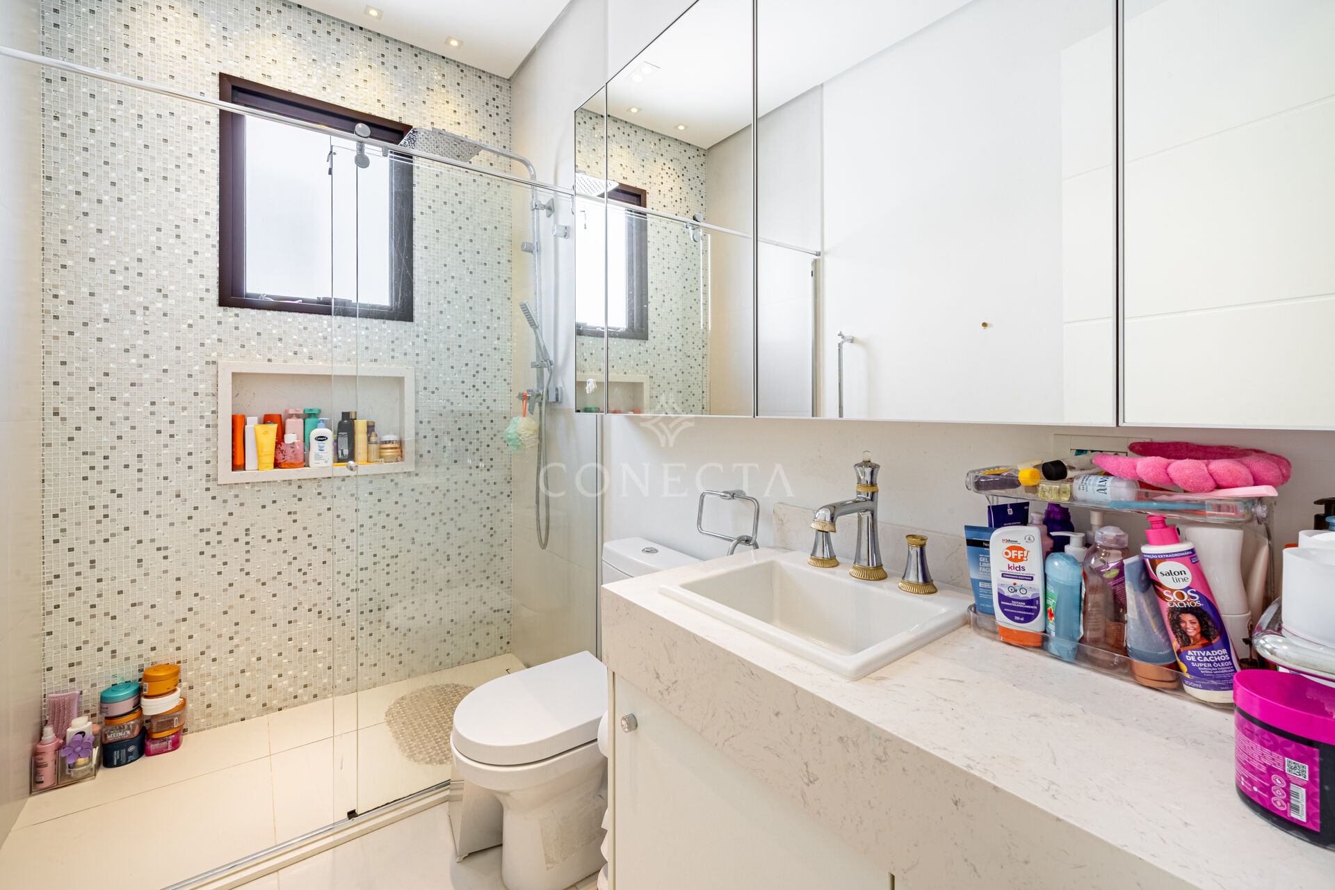 Casa, 4 quartos, 790 m² - Foto 36