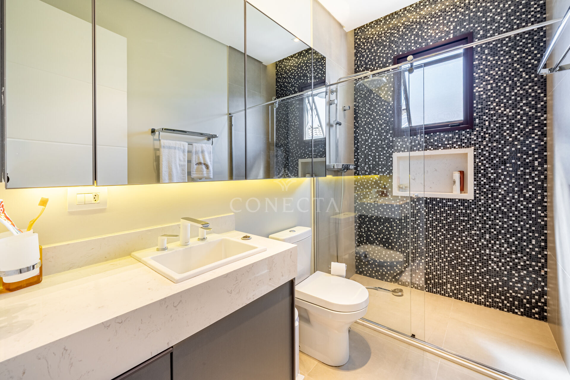 Casa, 4 quartos, 790 m² - Foto 32