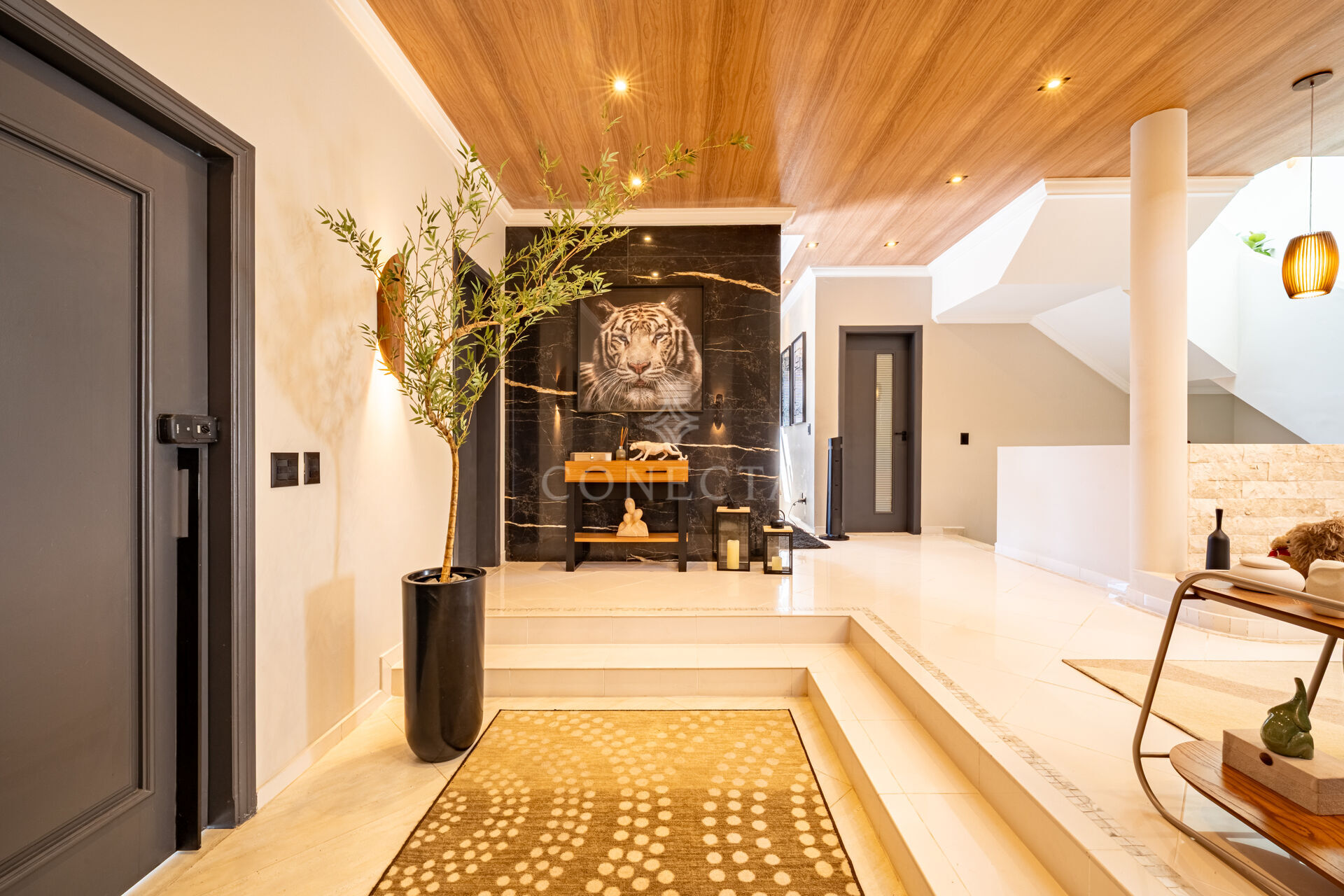 Casa, 4 quartos, 375 m² - Foto 13