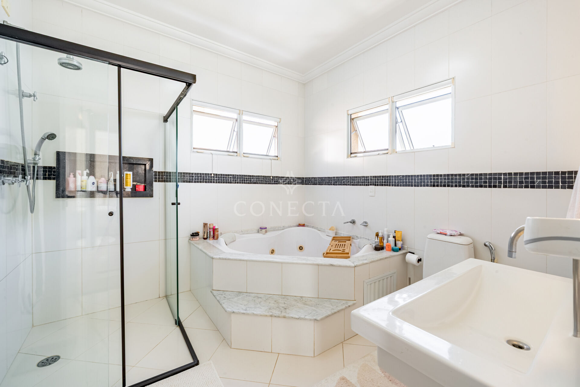 Casa, 4 quartos, 375 m² - Foto 34