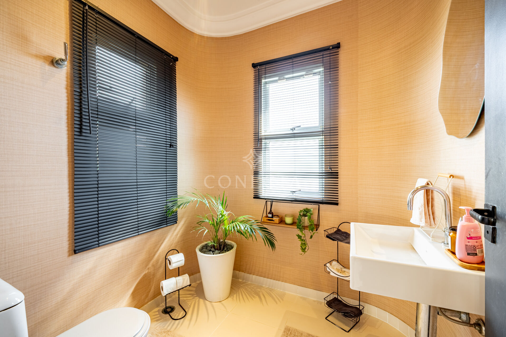 Casa, 4 quartos, 375 m² - Foto 17