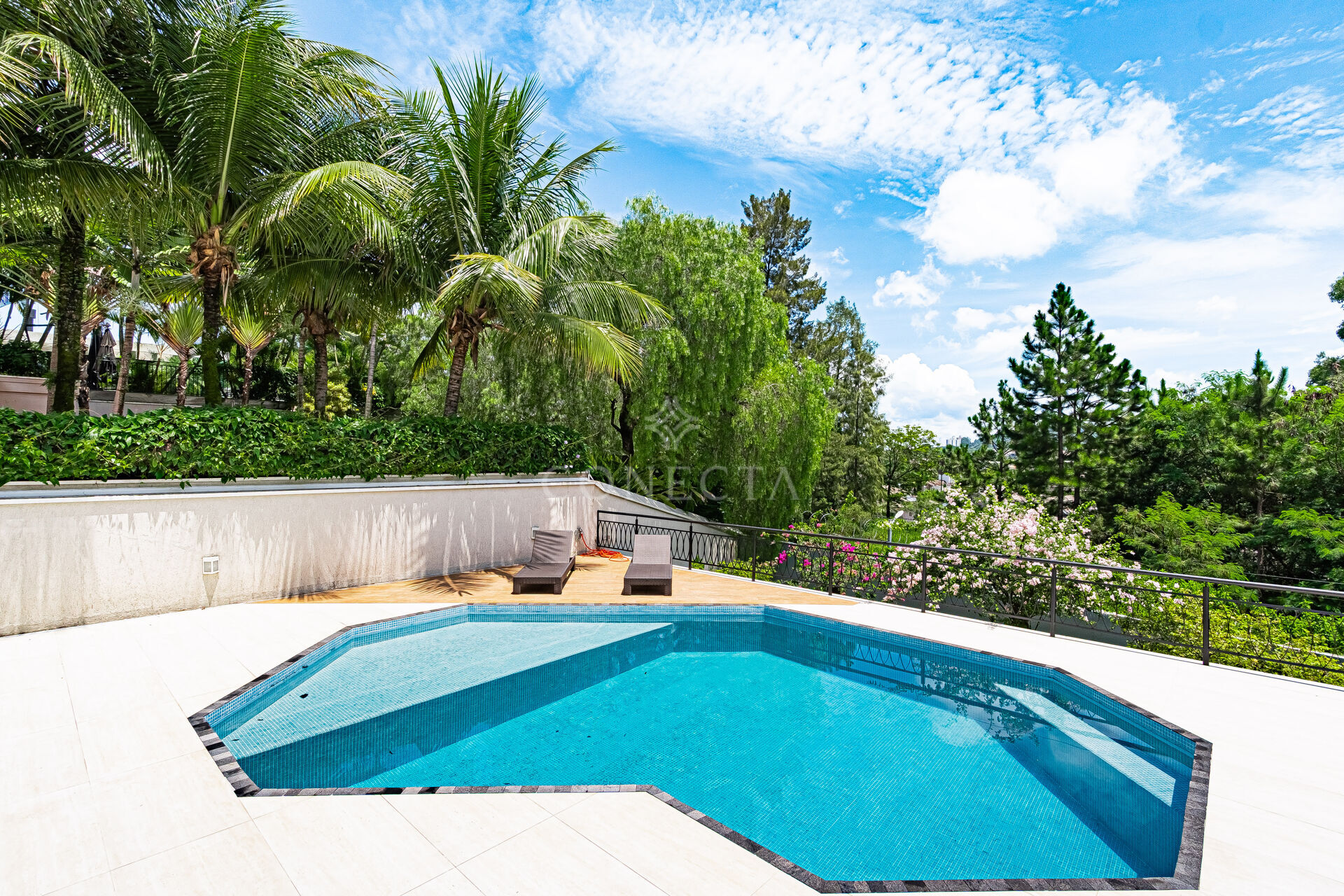 Casa, 4 quartos, 716 m² - Foto 6