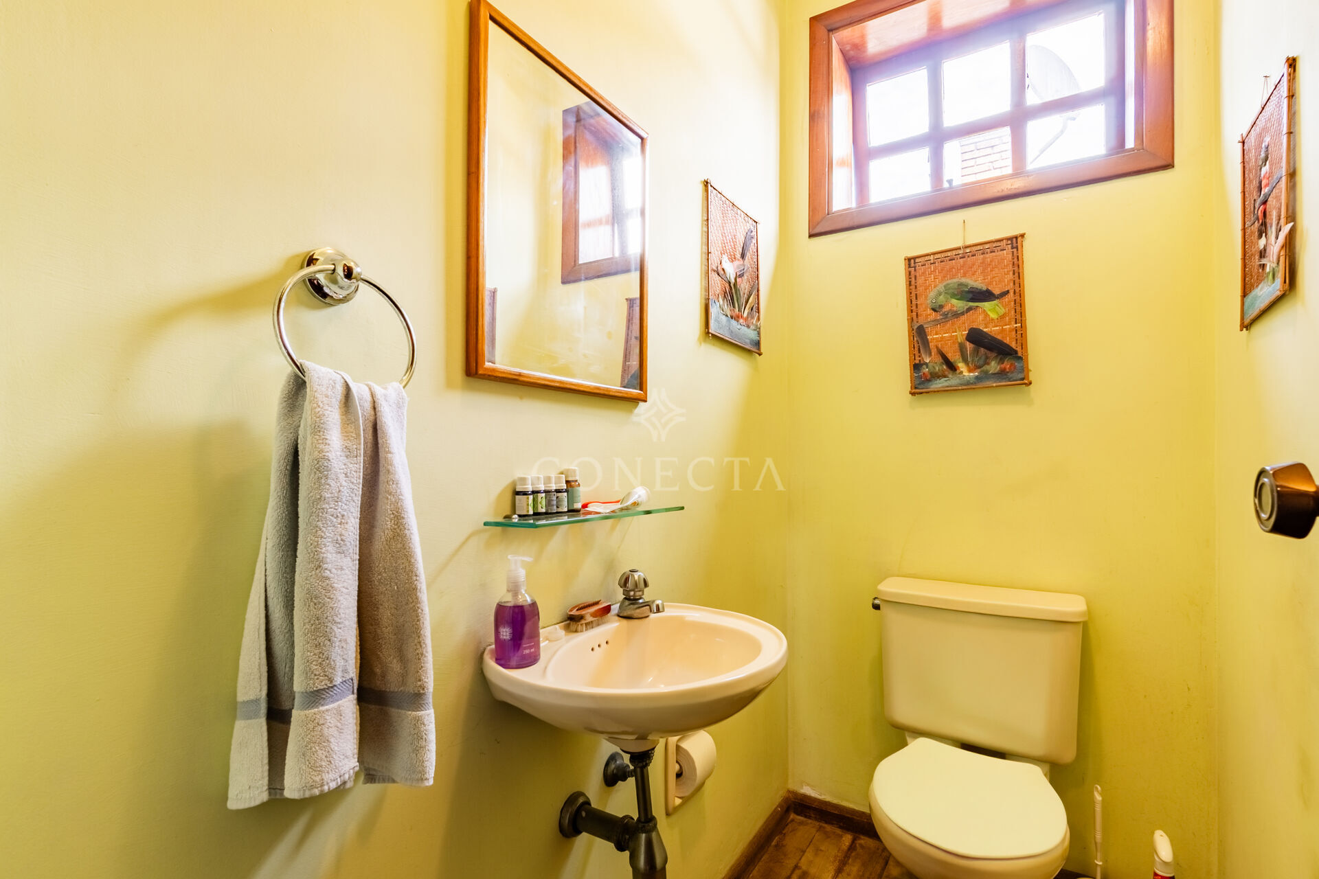Casa, 4 quartos, 327 m² - Foto 15