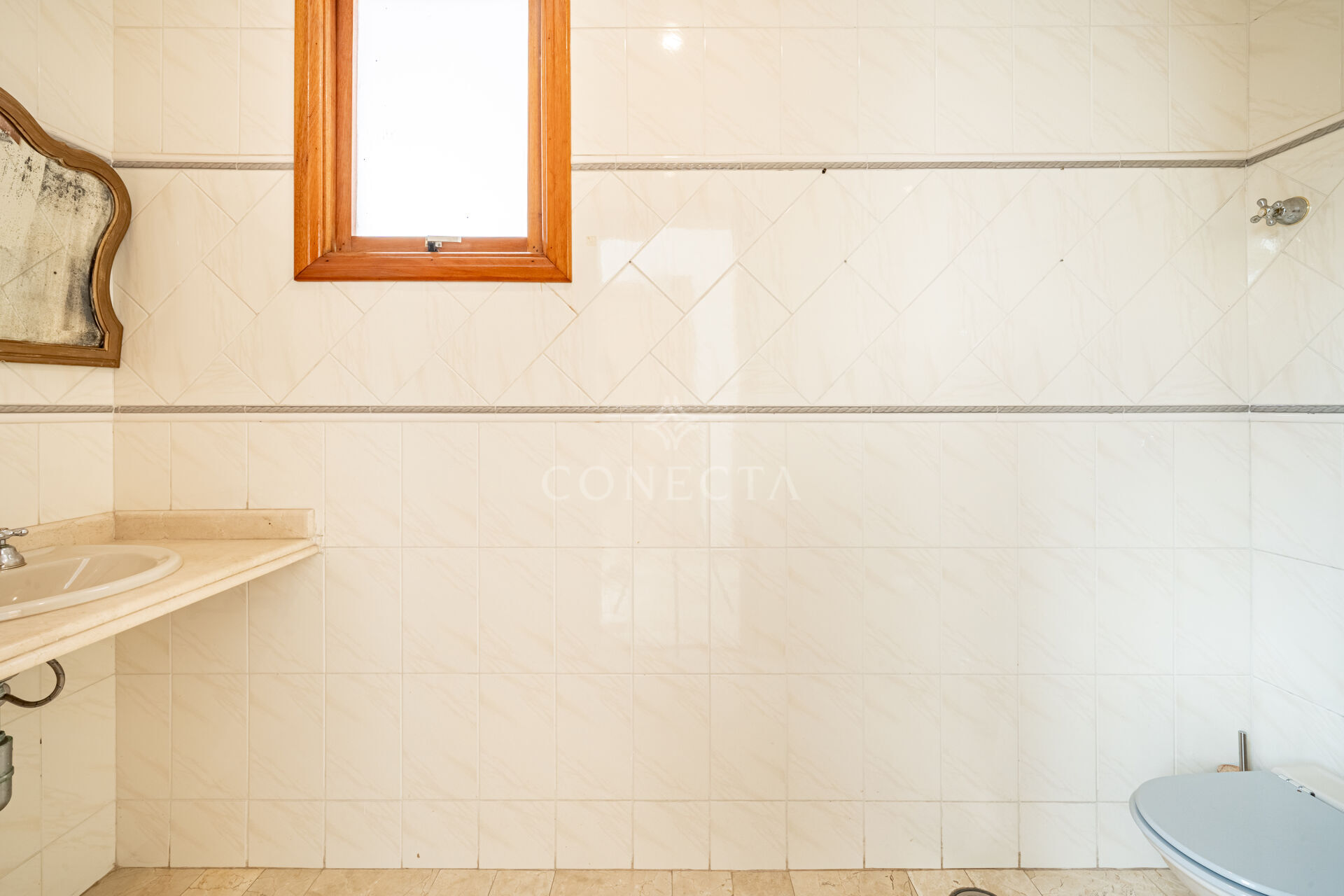 Casa, 4 quartos, 370 m² - Foto 12