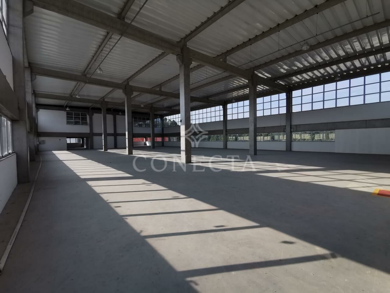 Conjunto Comercial-Sala para alugar, 5000m² - Foto 8