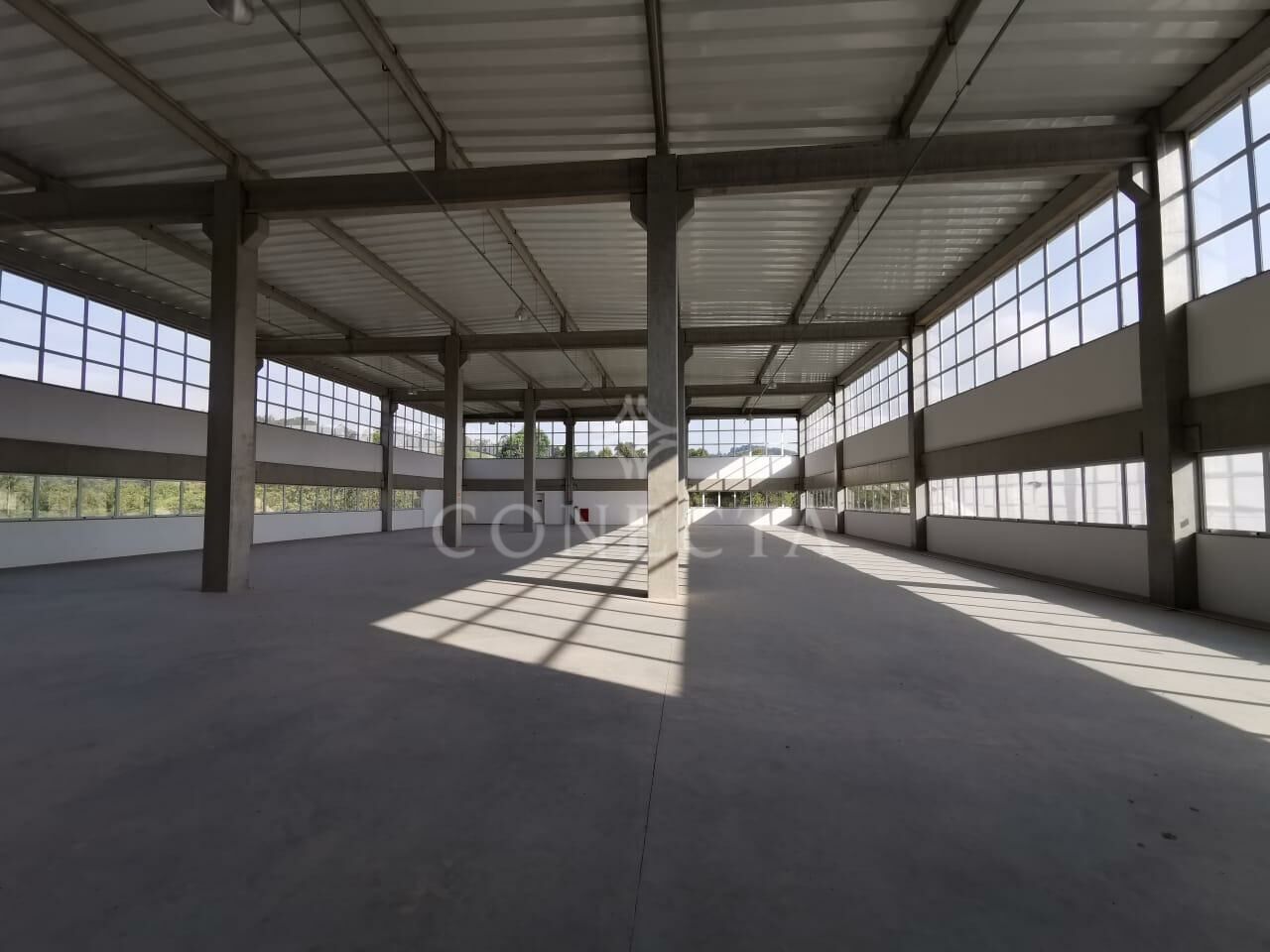 Conjunto Comercial-Sala para alugar, 5000m² - Foto 9