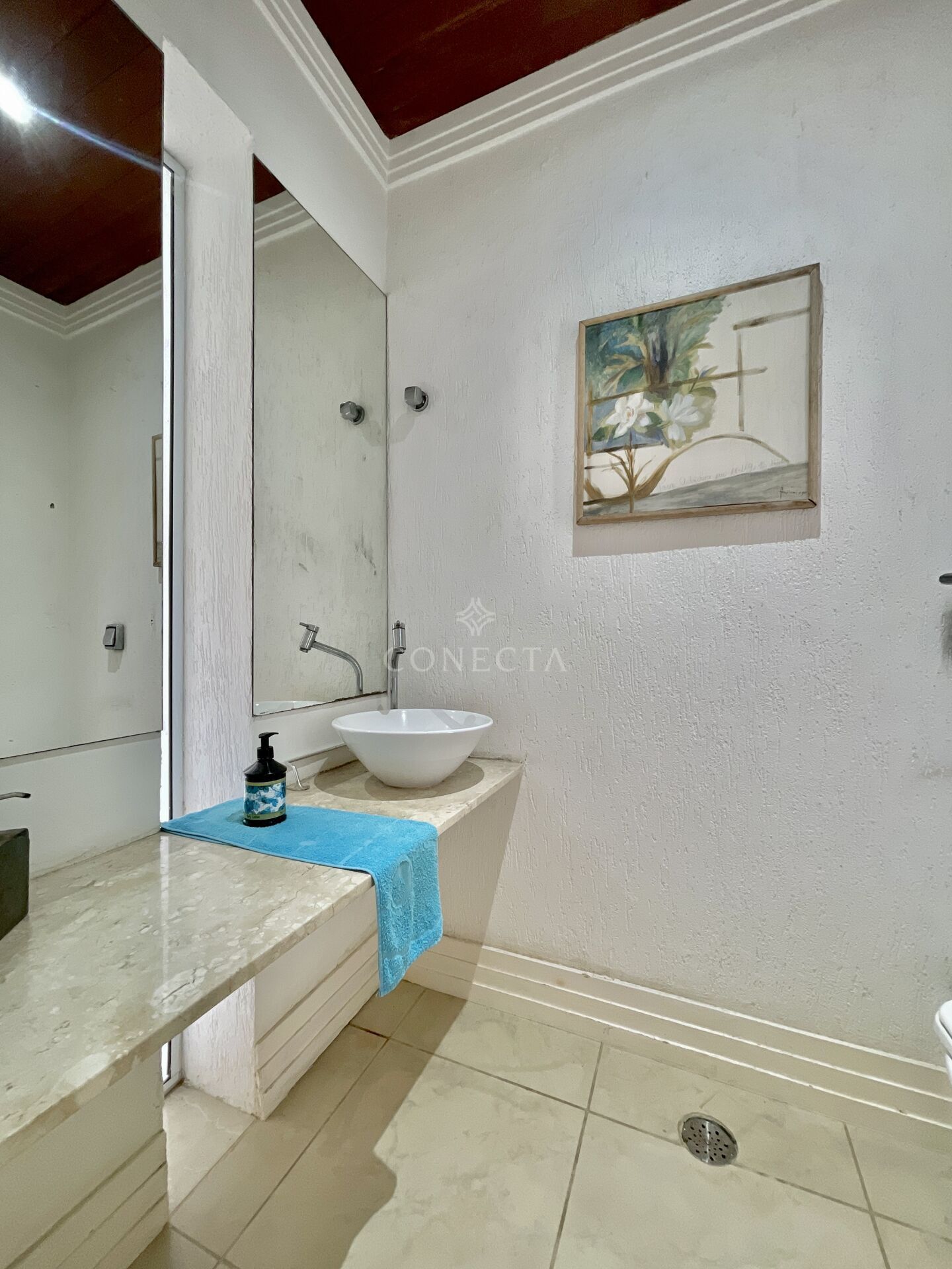 Casa, 4 quartos, 350 m² - Foto 14