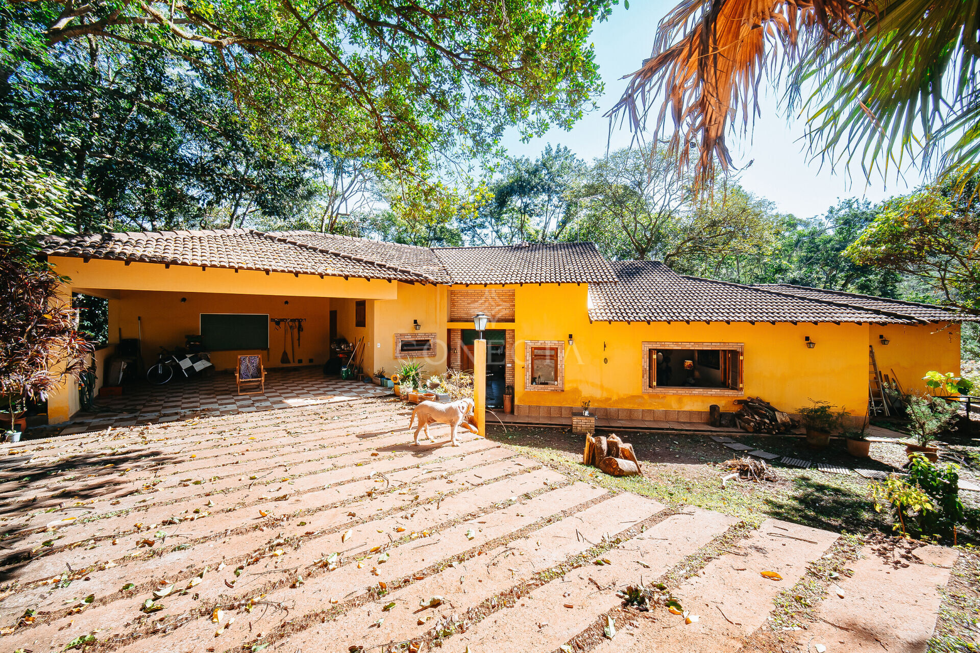 Casa, 5 quartos, 500 m² - Foto 1