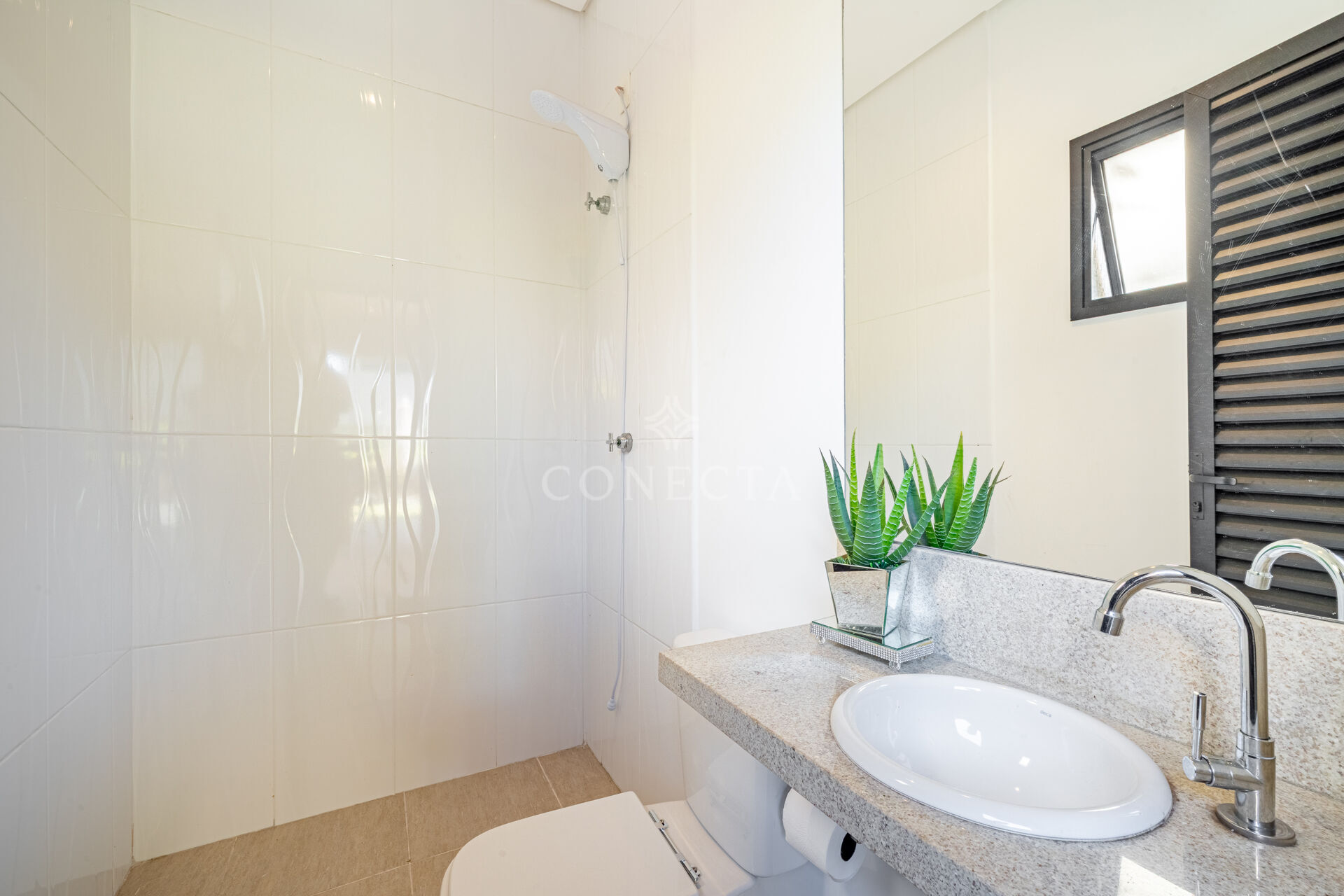 Casa, 4 quartos, 377 m² - Foto 24