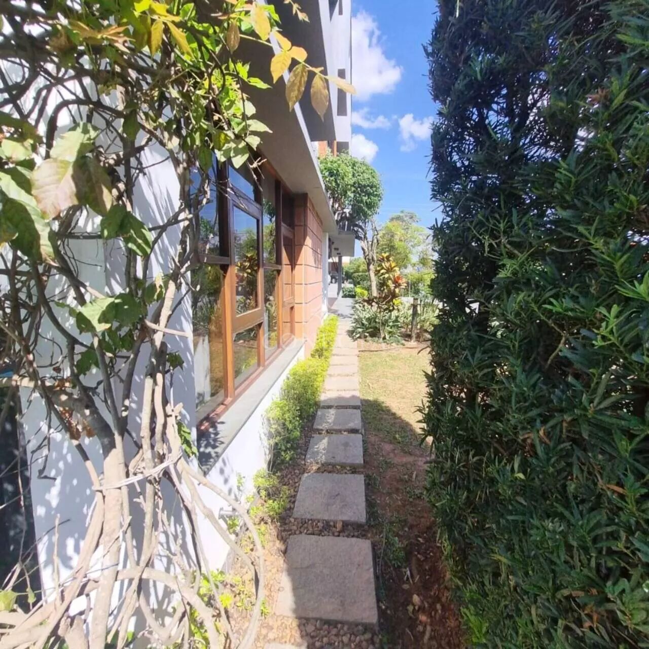 Casa, 4 quartos, 339 m² - Foto 18