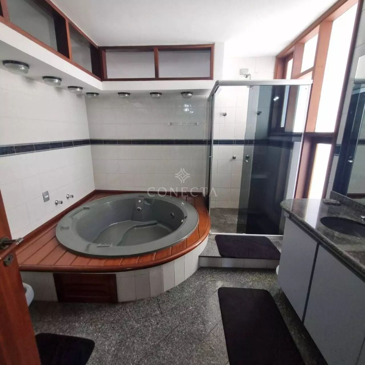 Casa, 4 quartos, 339 m² - Foto 17