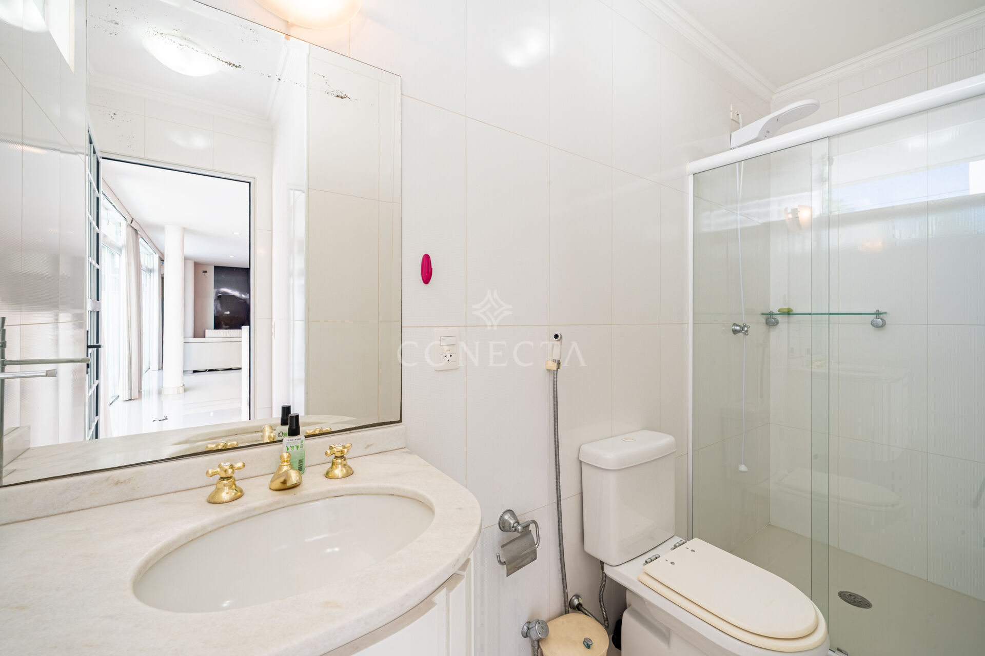 Casa, 4 quartos, 550 m² - Foto 28