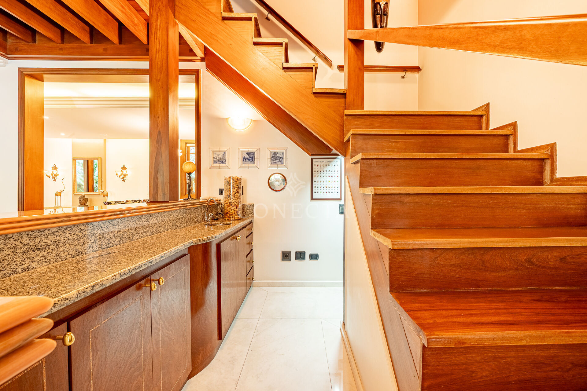 Casa, 4 quartos, 704 m² - Foto 14