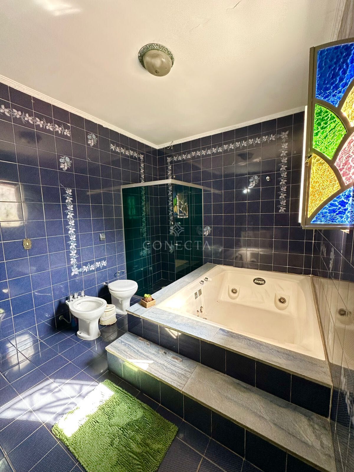 Casa, 4 quartos, 451 m² - Foto 11