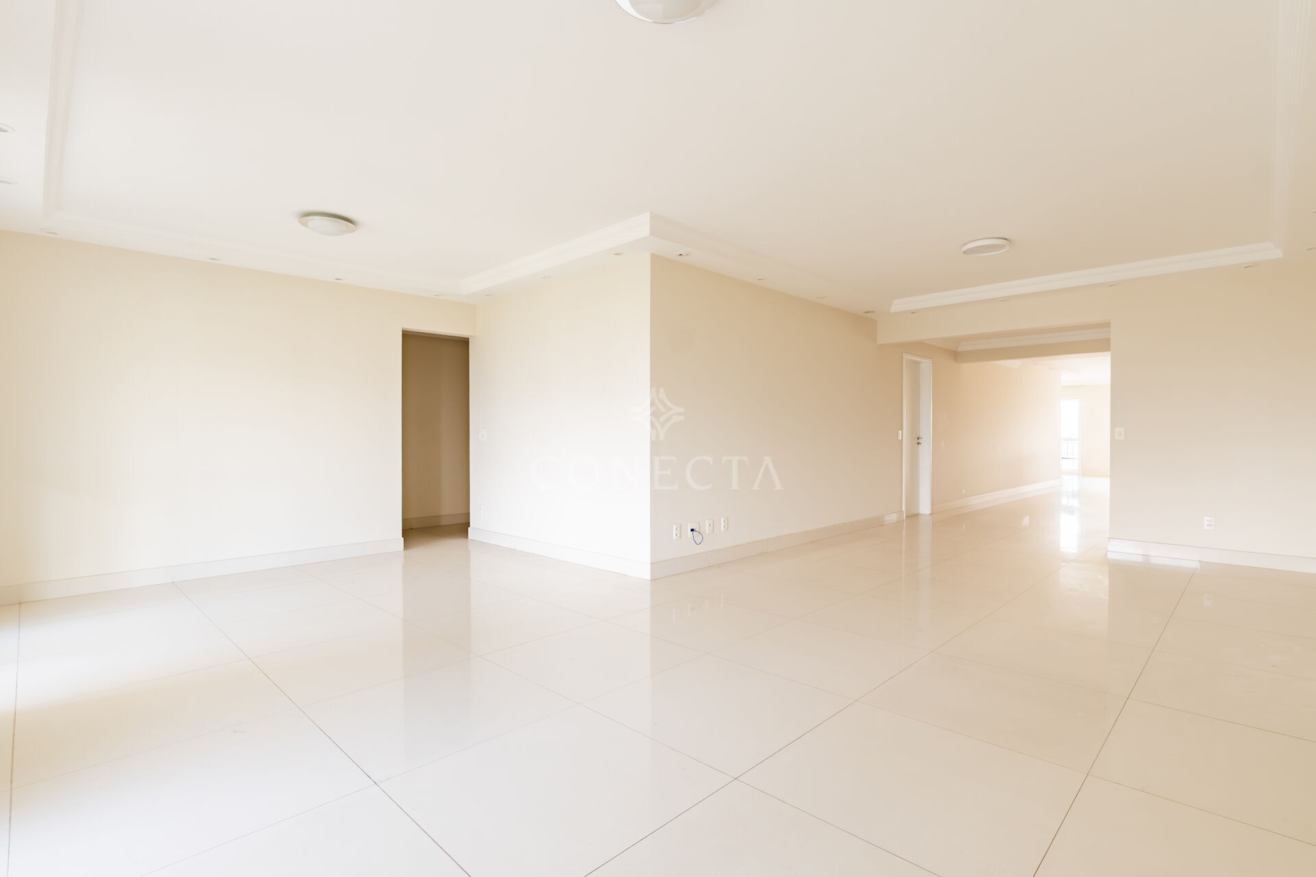 Apartamento, 4 quartos, 340 m² - Foto 3