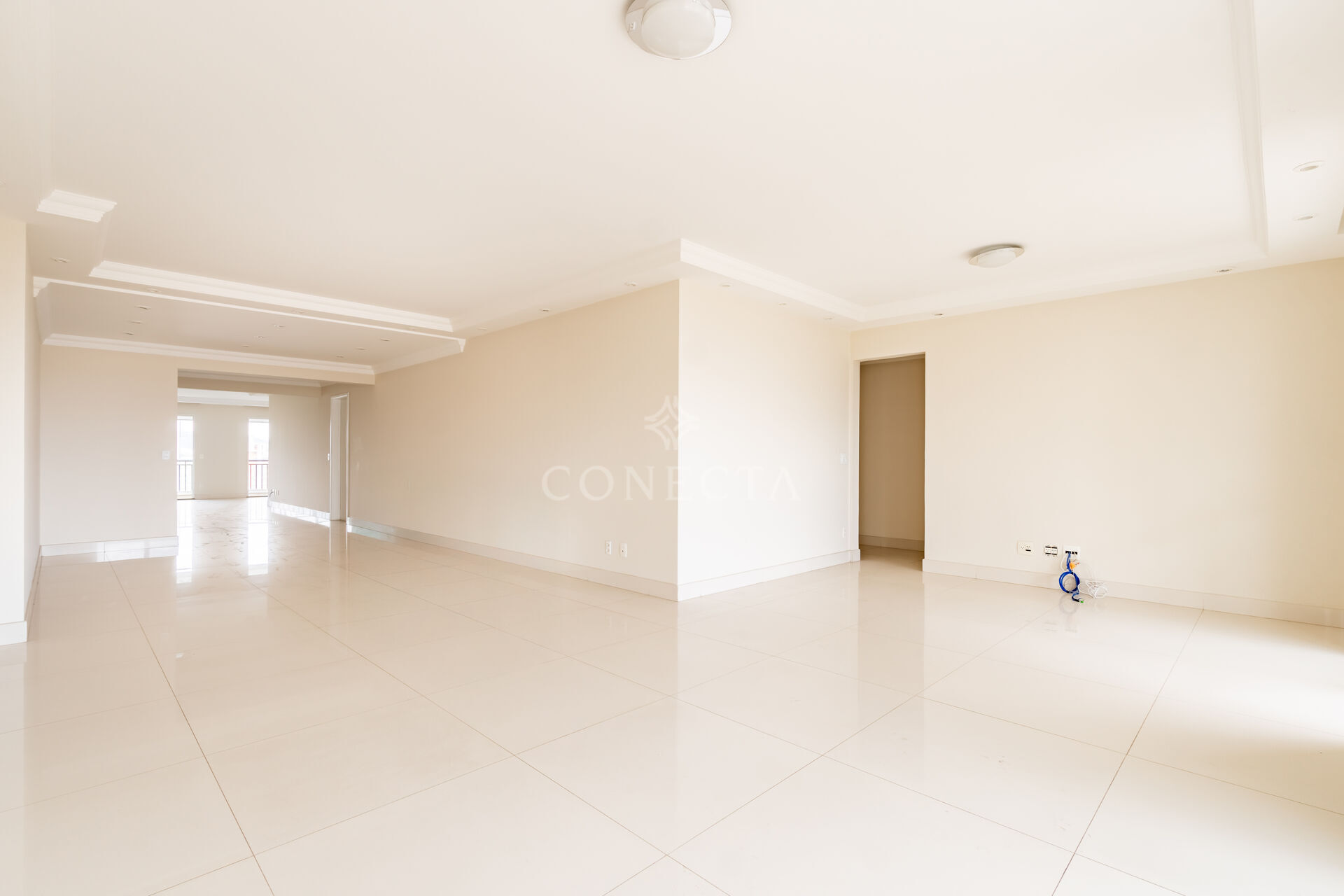 Apartamento, 4 quartos, 340 m² - Foto 6