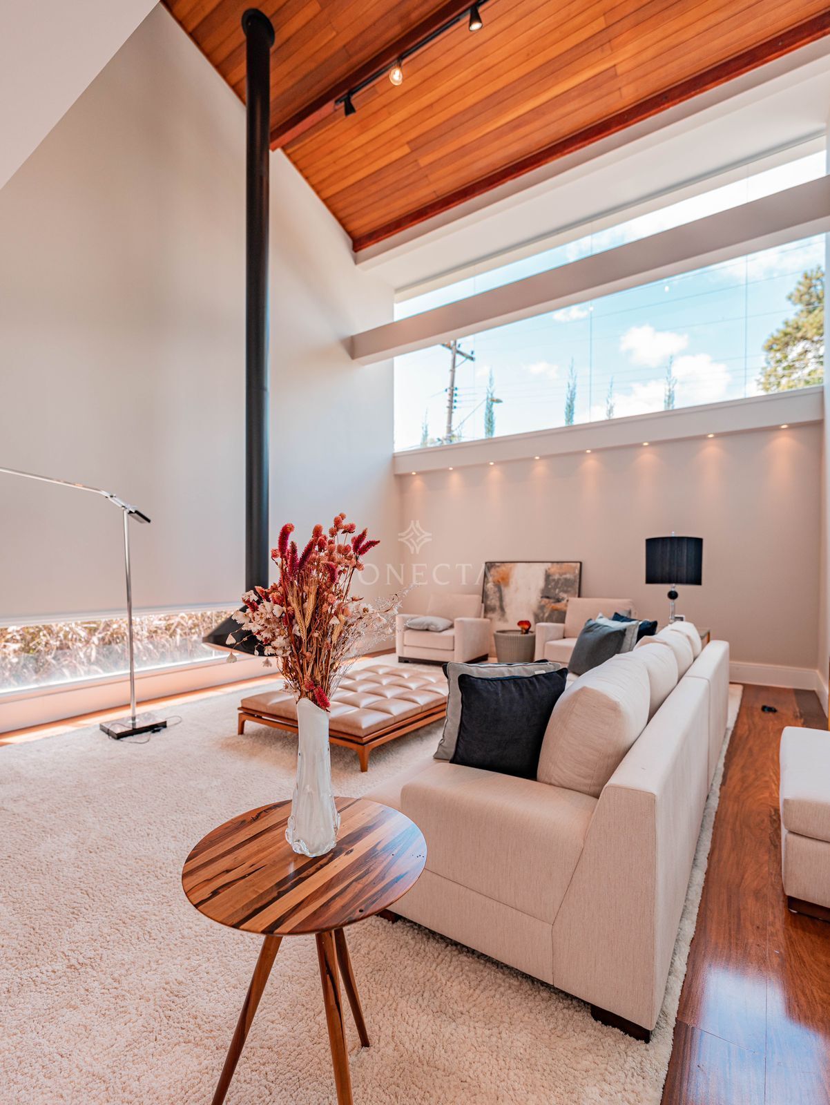 Casa, 4 quartos, 800 m² - Foto 6