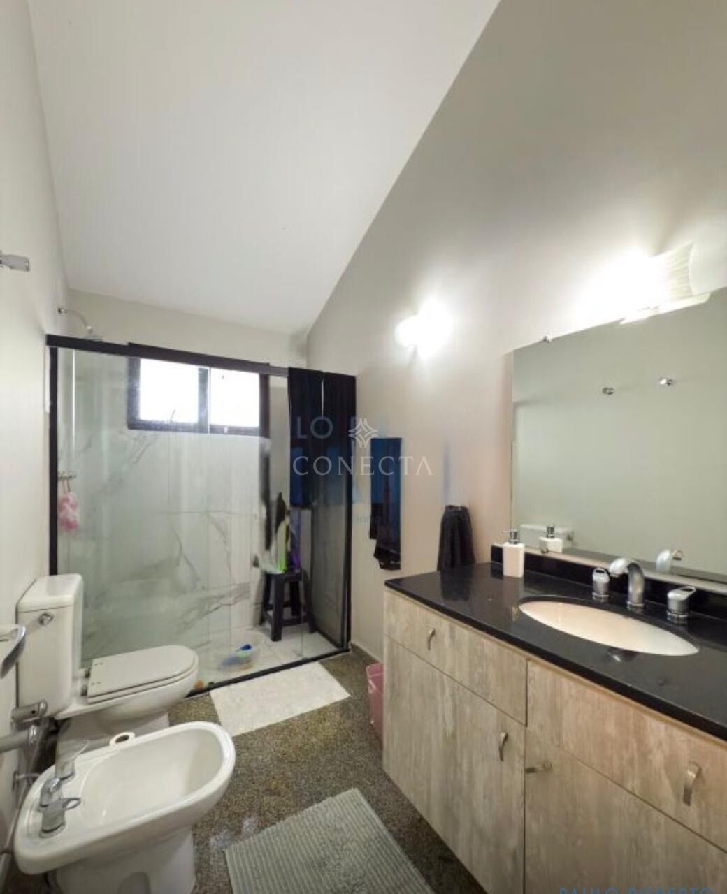 Casa, 4 quartos, 460 m² - Foto 11