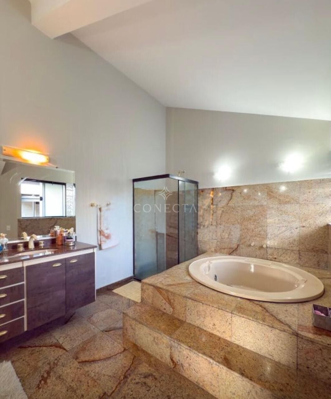Casa, 4 quartos, 460 m² - Foto 14