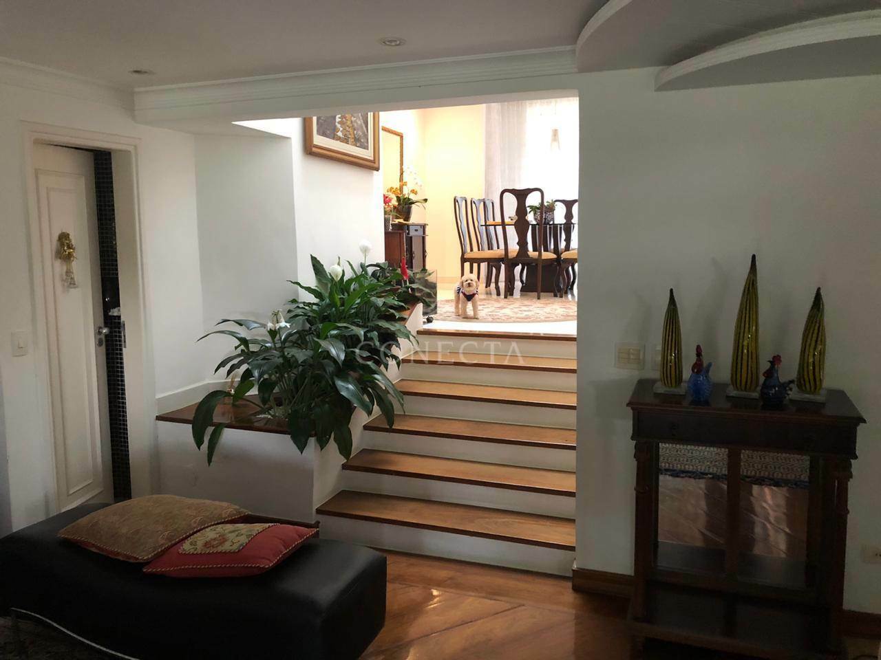 Casa, 3 quartos, 400 m² - Foto 6