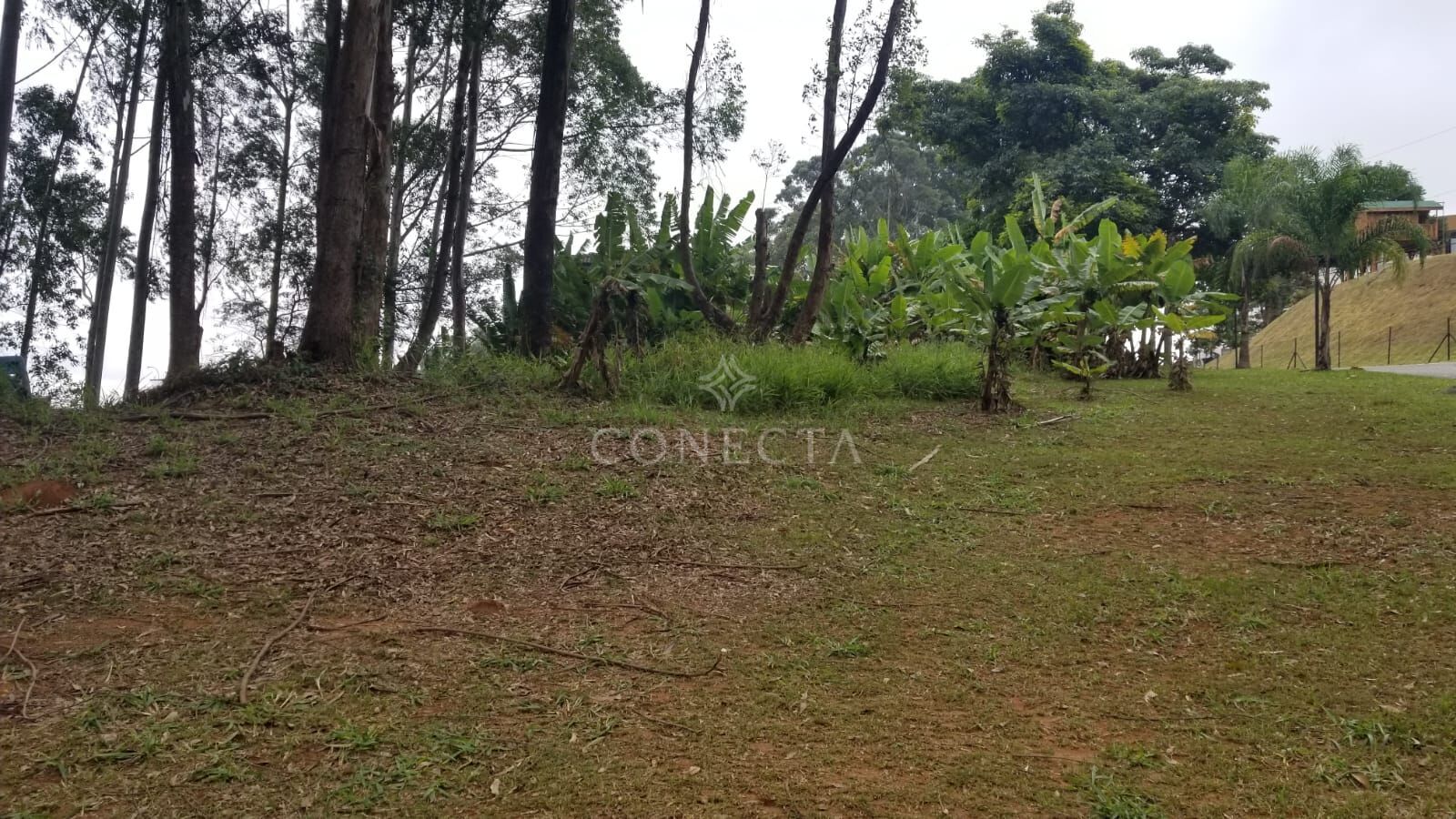 Terreno, 1671 m² - Foto 1