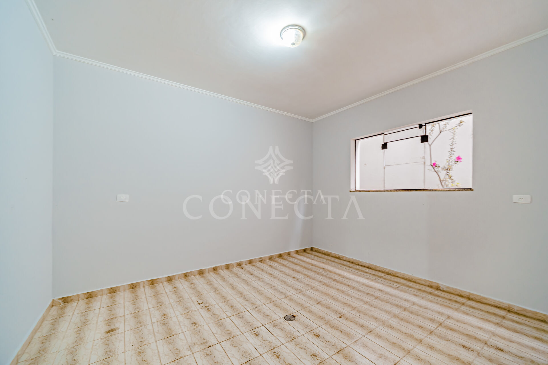 Casa, 4 quartos, 480 m² - Foto 19