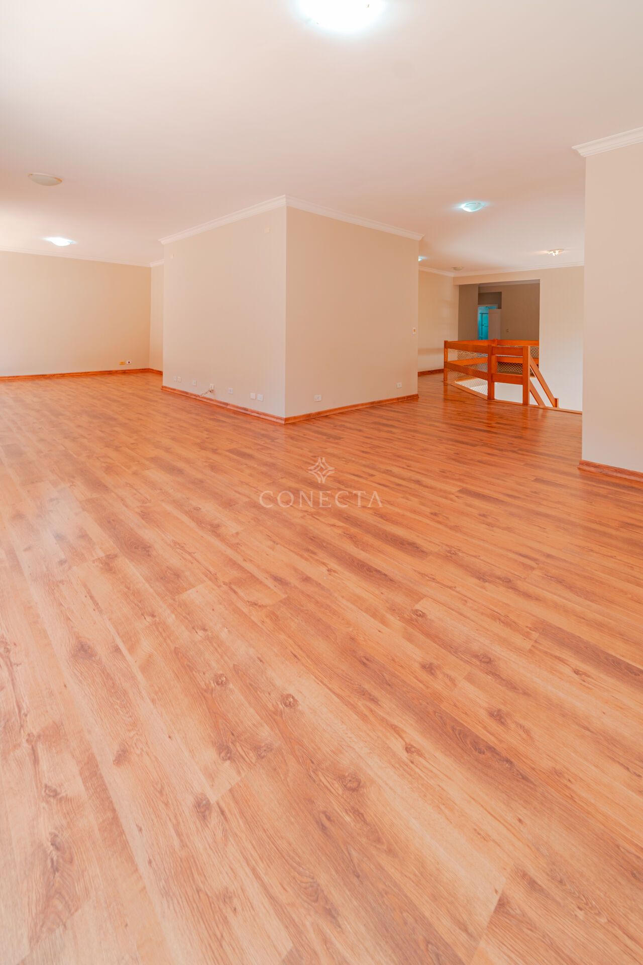 Casa, 4 quartos, 368 m² - Foto 26