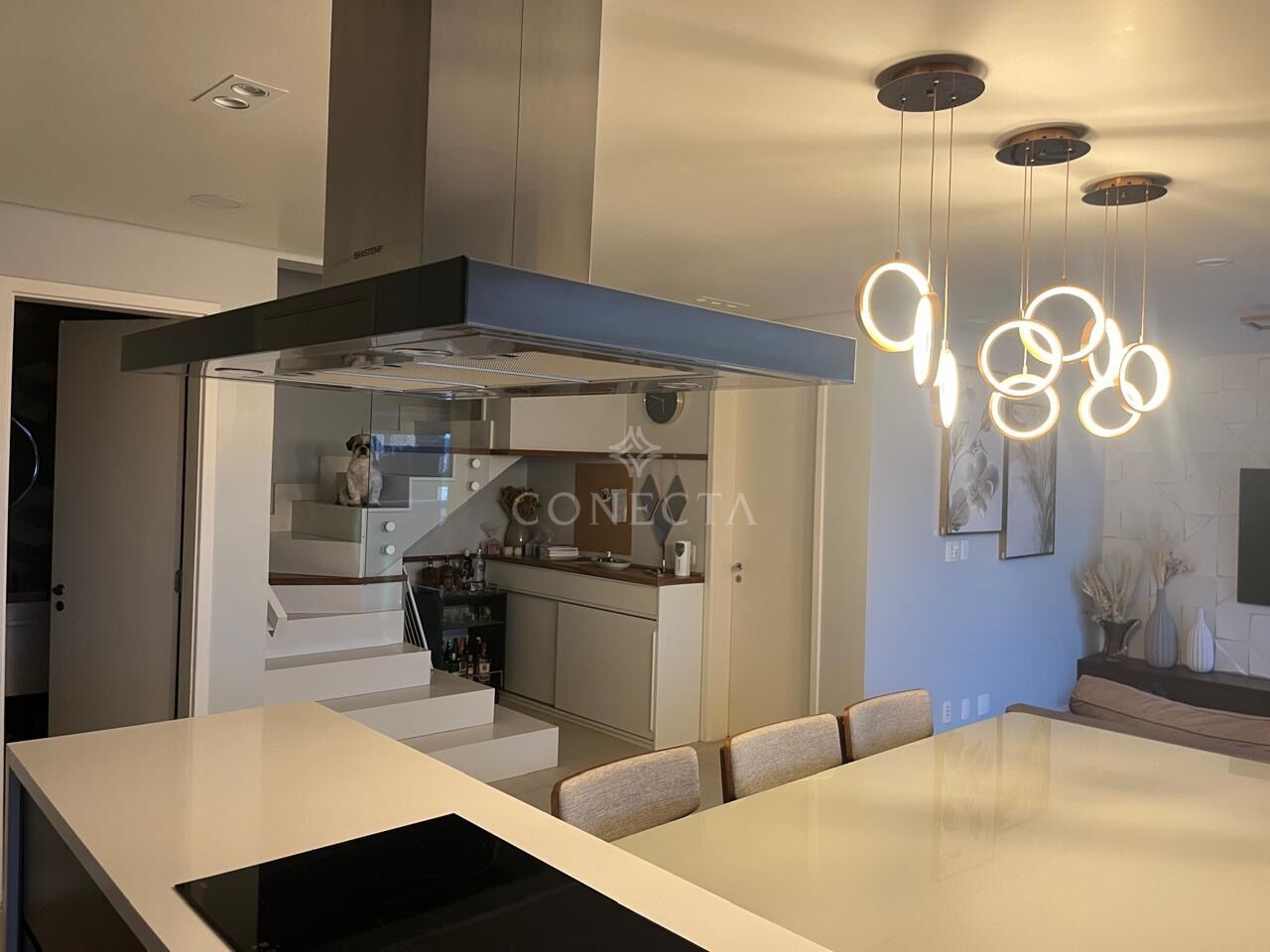 Apartamento, 3 quartos, 230 m² - Foto 3