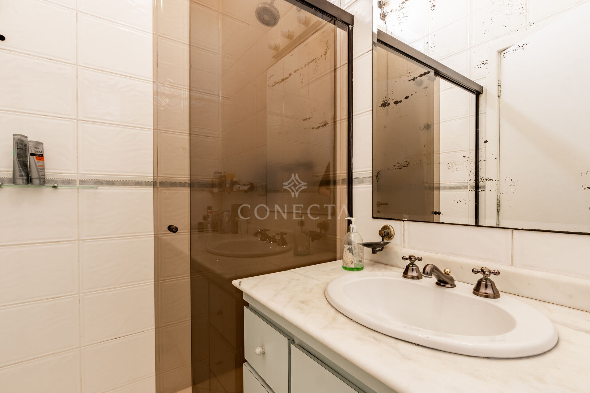 Casa, 4 quartos, 316 m² - Foto 31