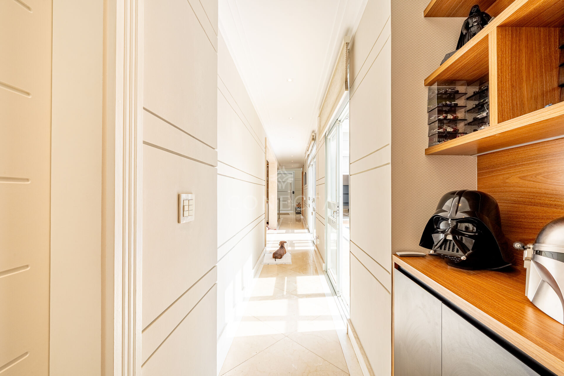 Casa, 3 quartos, 443 m² - Foto 19