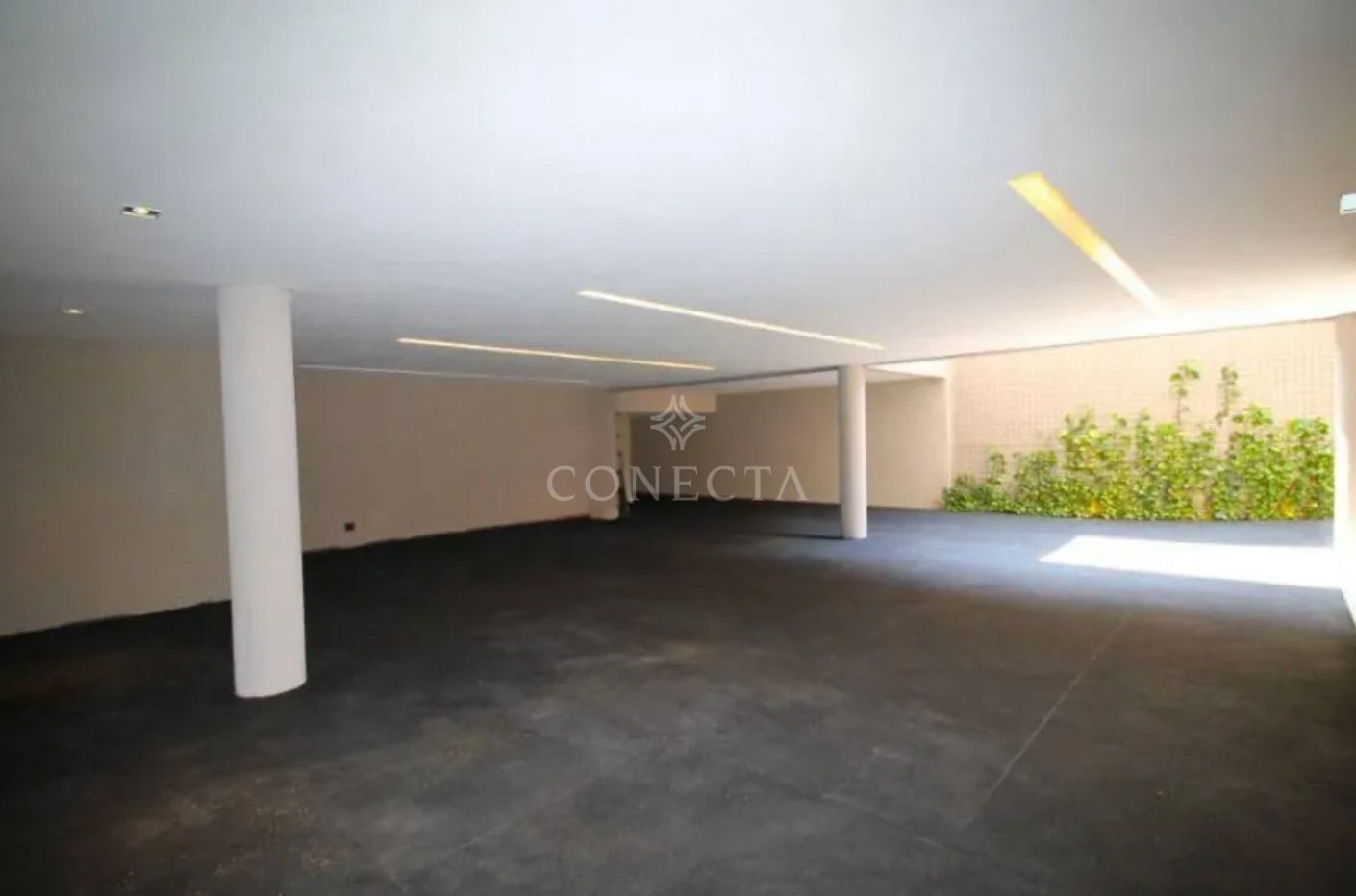 Casa à venda com 4 quartos, 560m² - Foto 6