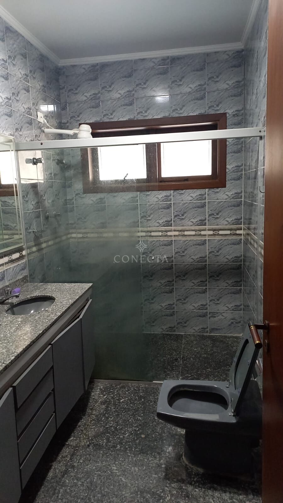 Casa, 4 quartos, 308 m² - Foto 19