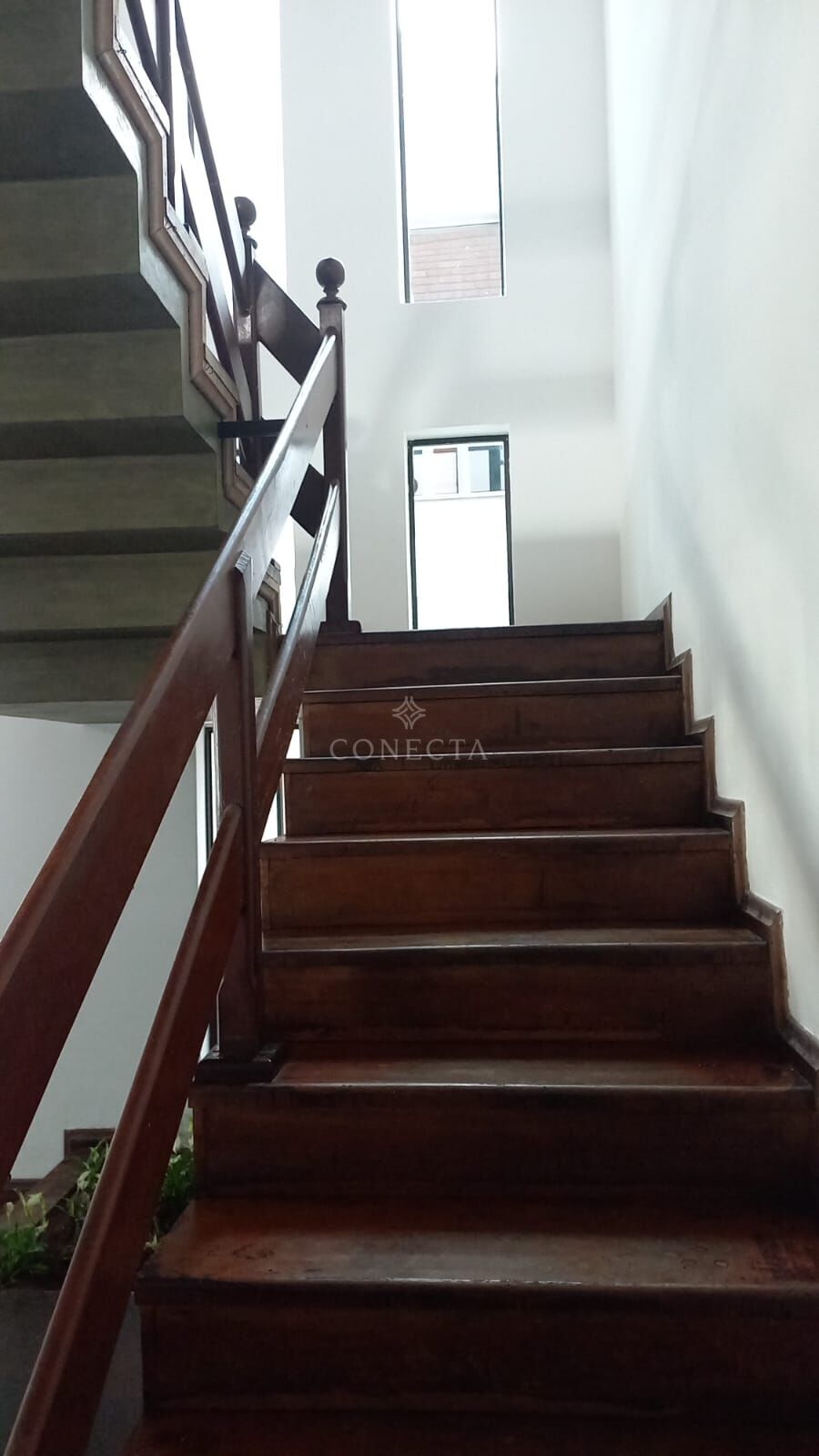 Casa, 4 quartos, 308 m² - Foto 15