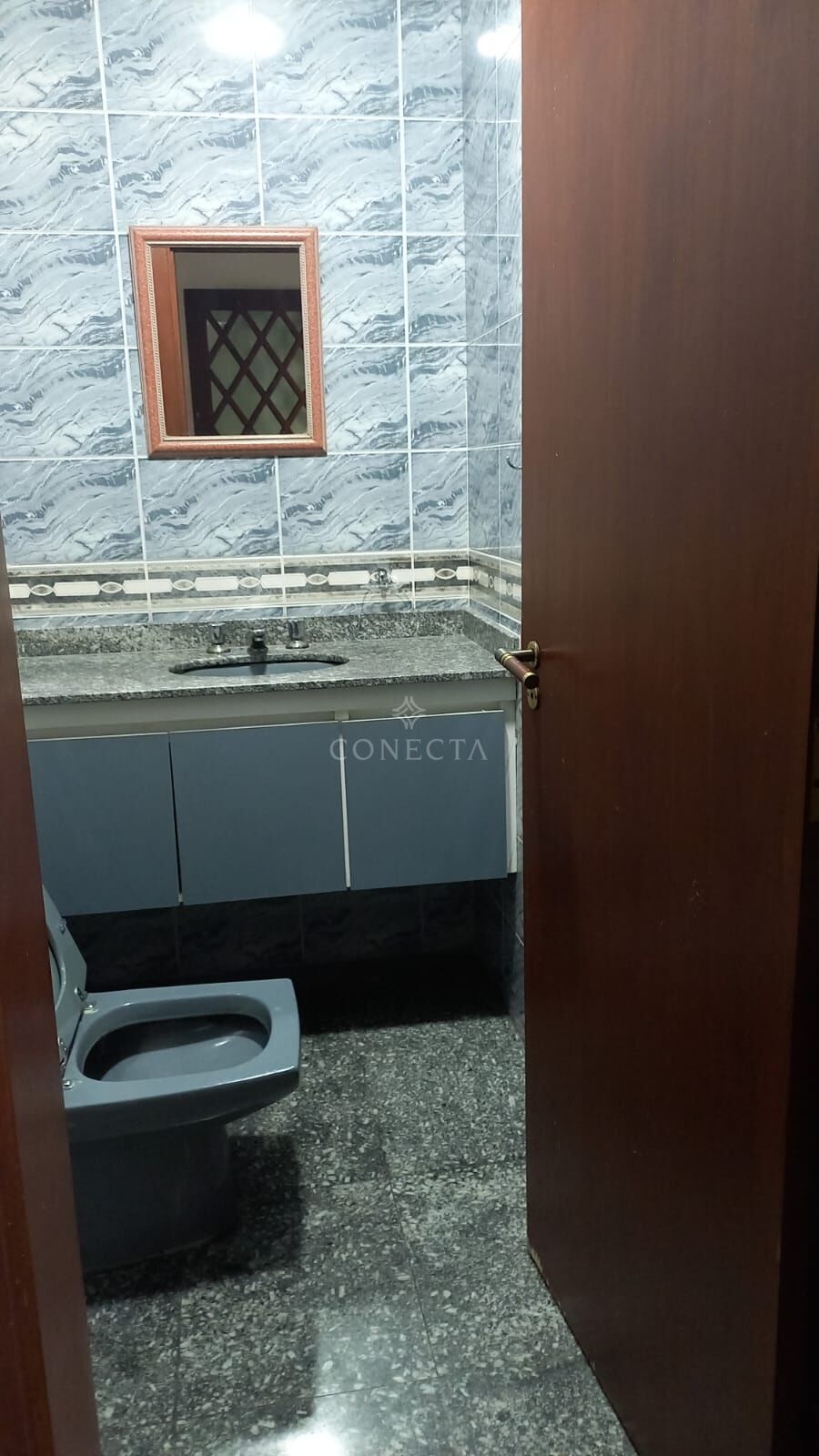 Casa, 4 quartos, 308 m² - Foto 13