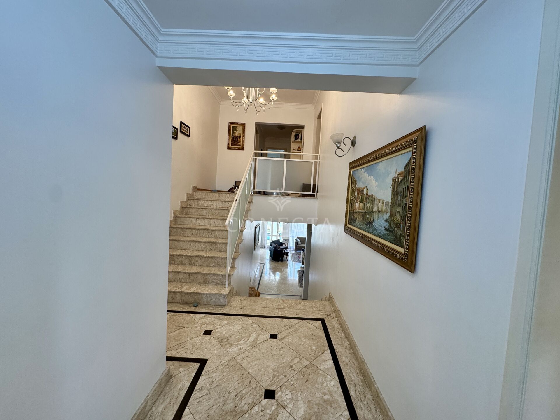 Casa, 4 quartos, 356 m² - Foto 5