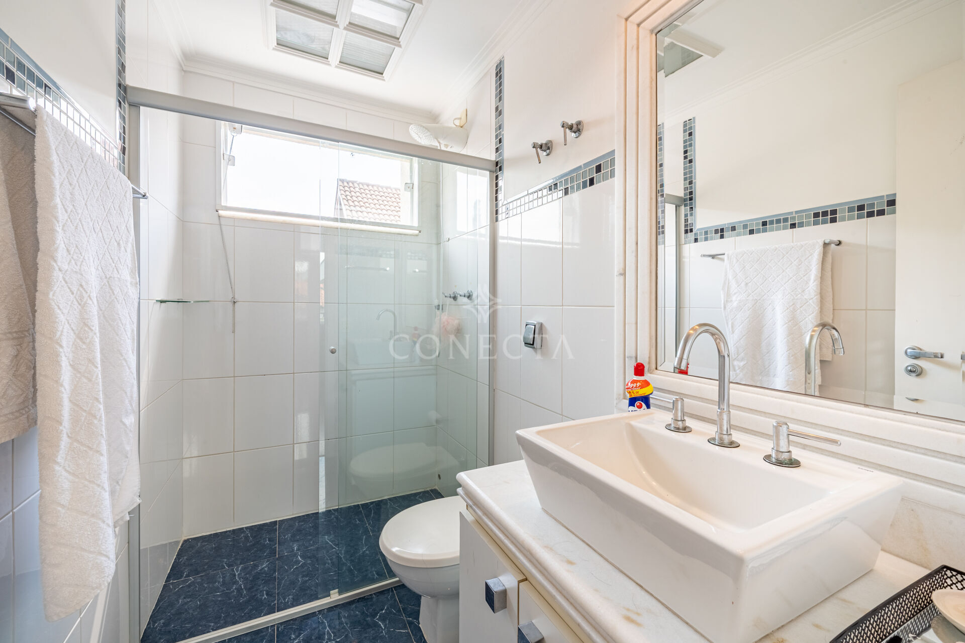 Casa, 4 quartos, 271 m² - Foto 30