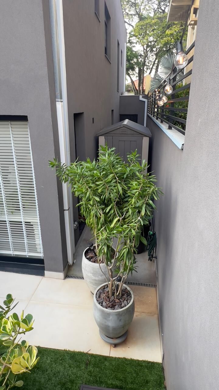 Casa, 4 quartos, 300 m² - Foto 17